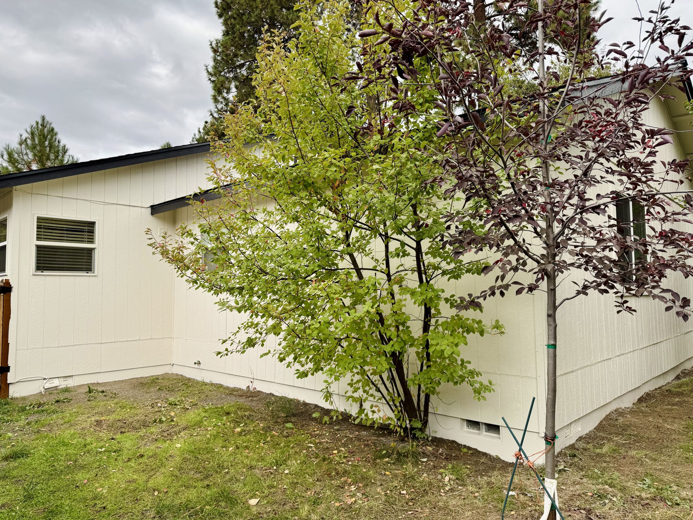 DRIPLESS PAINTING's image