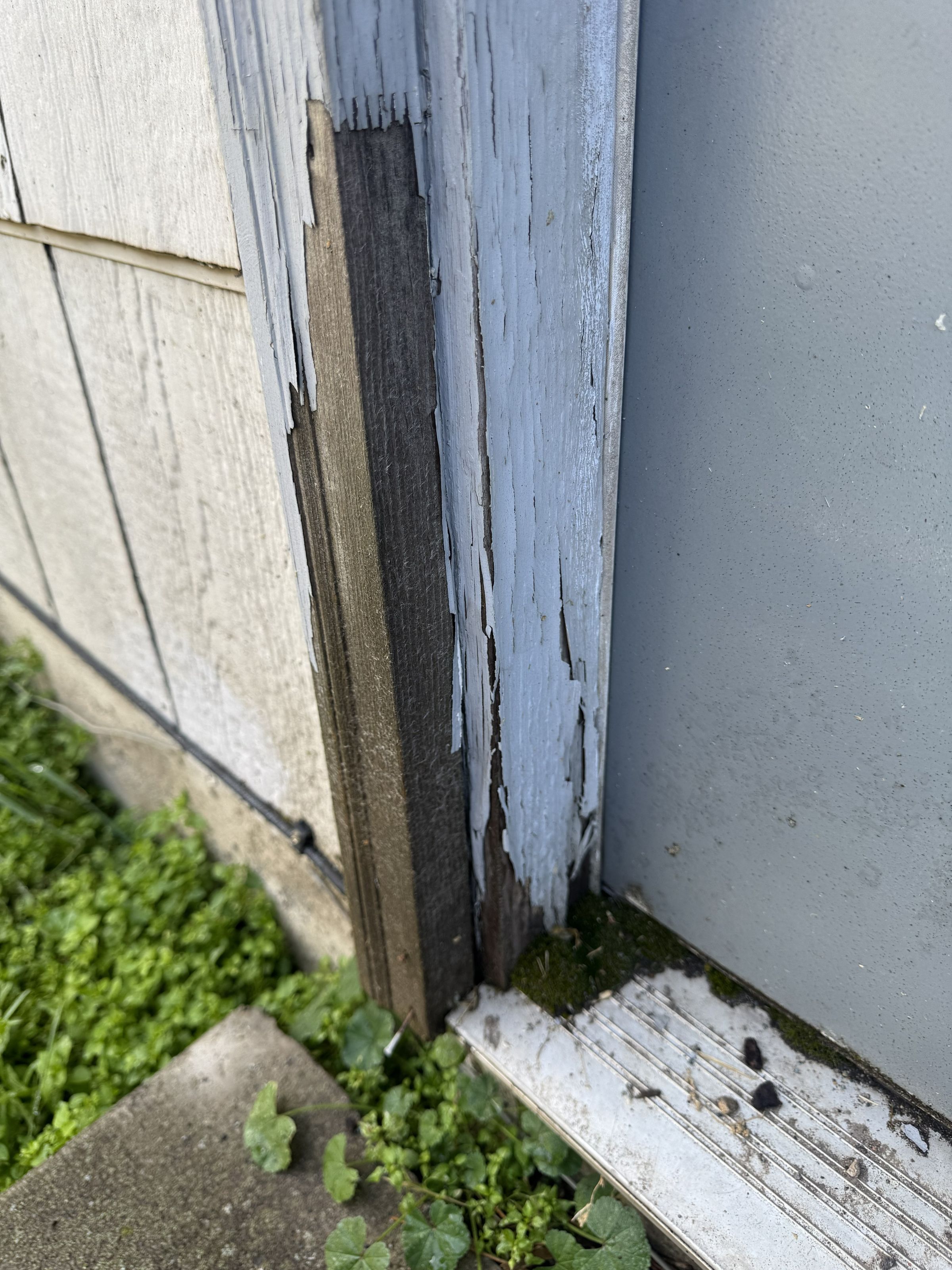 DRIPLESS PAINTING's image