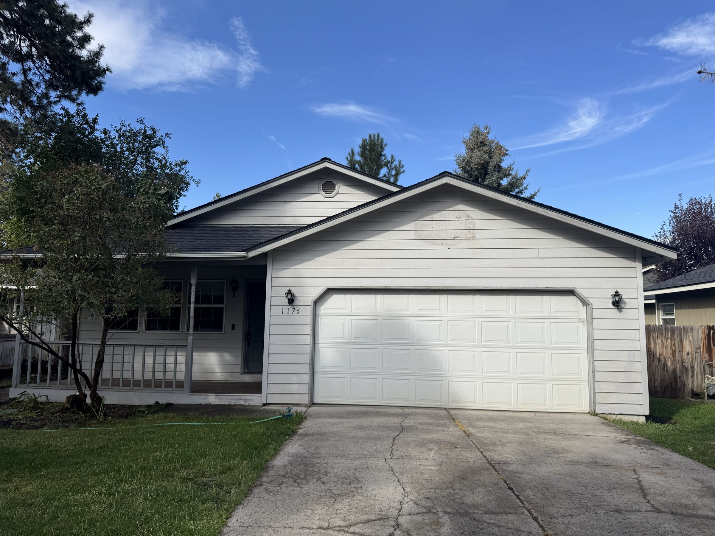 DRIPLESS PAINTING's image