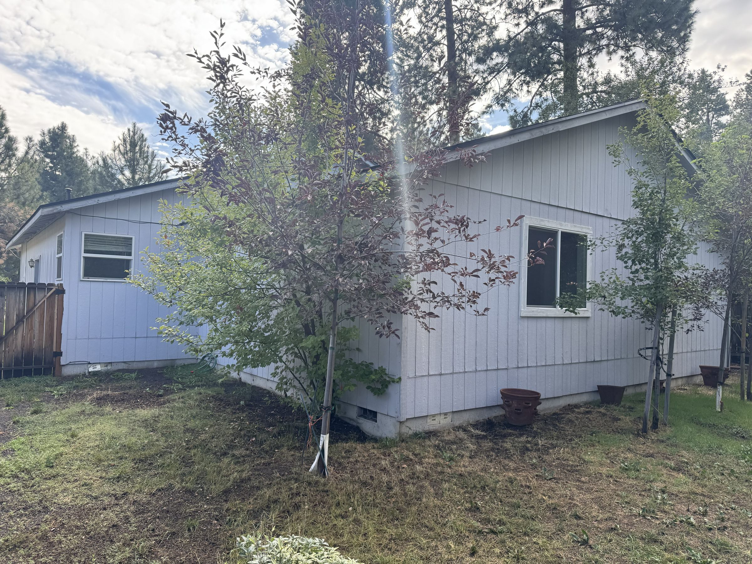 DRIPLESS PAINTING's image