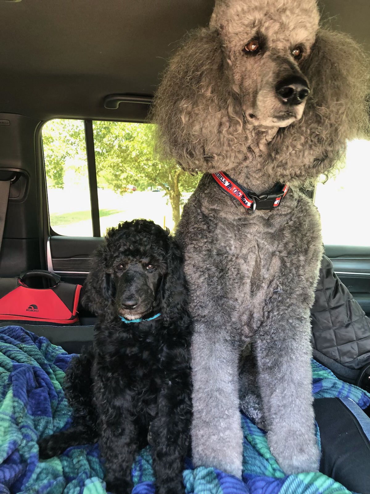 Steve and Lisa M., Florida avatar