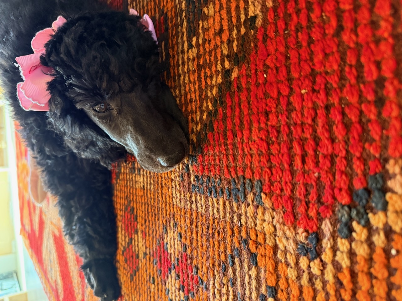 Andrea, Ken & Lisette avatar