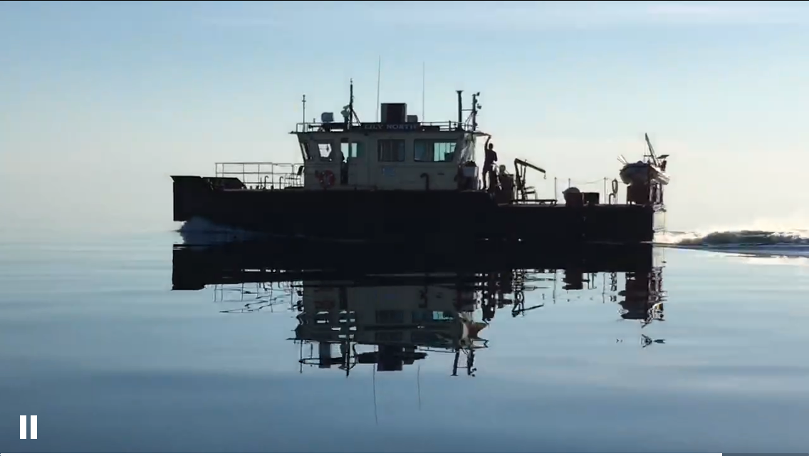 mjocontracting.com 's image