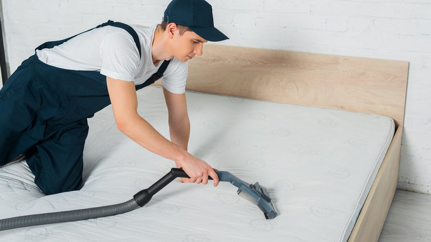 Good Dawg Carpet Cleaning 's image