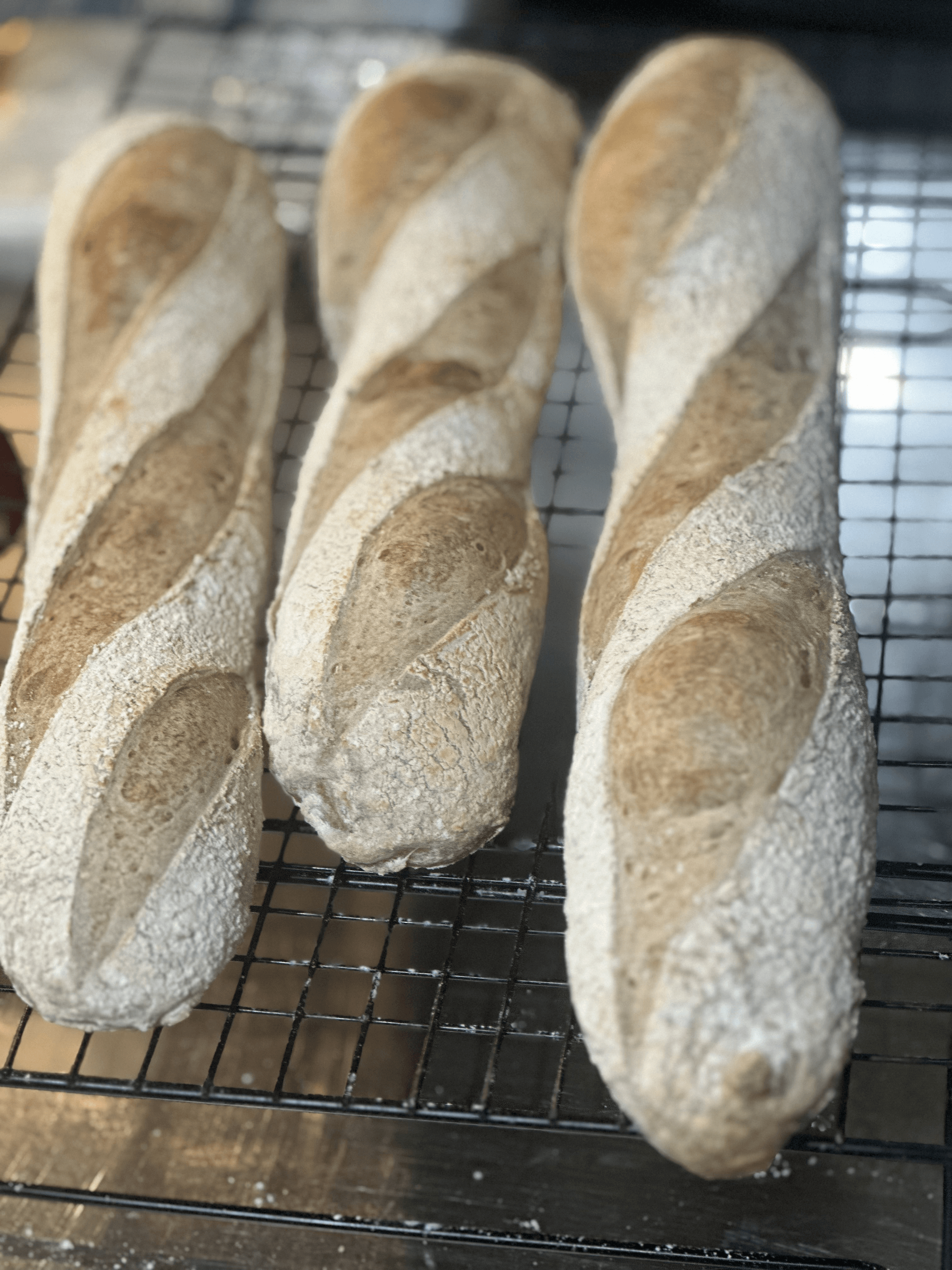 Bread Baby!'s image