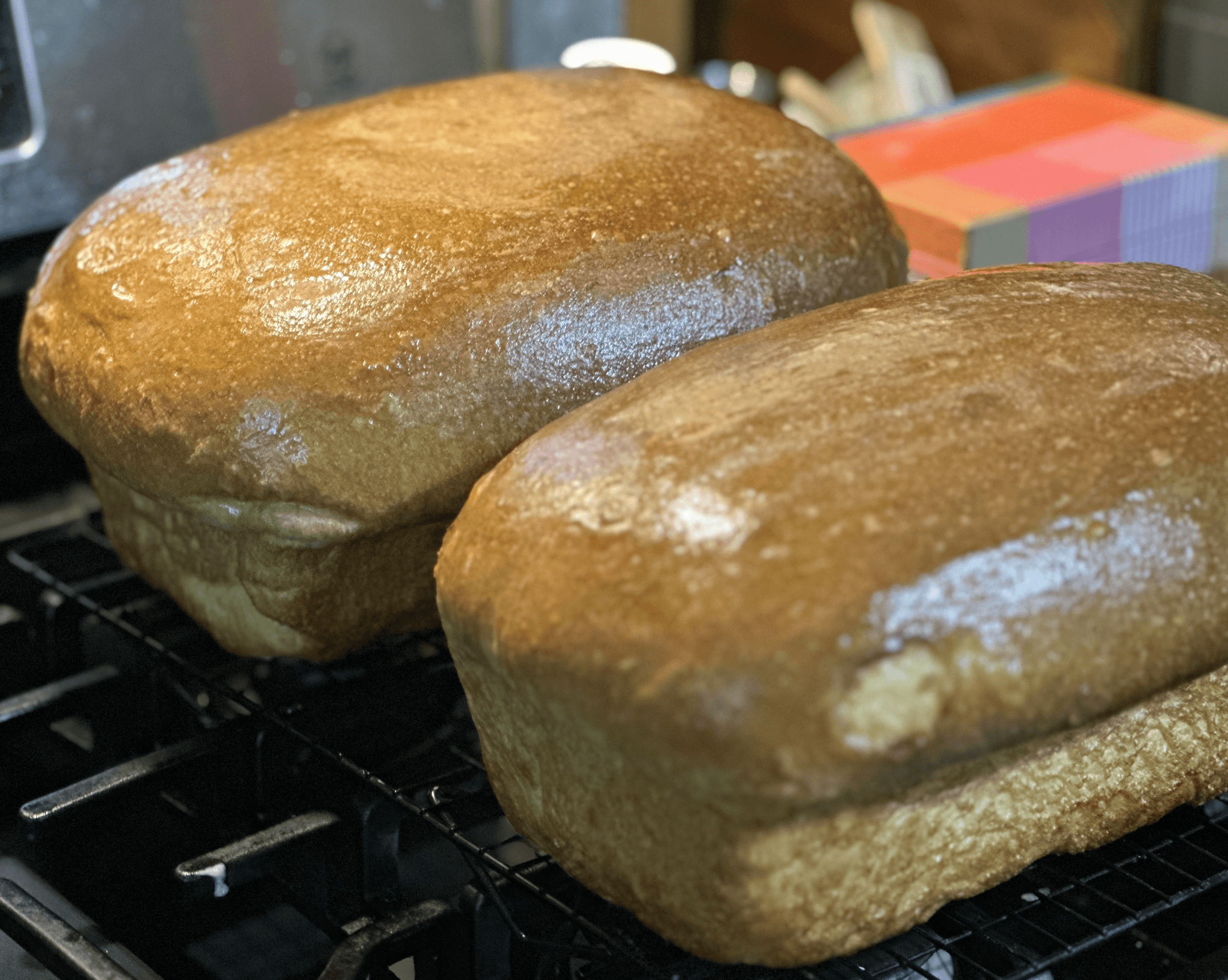 Bread Baby!'s image