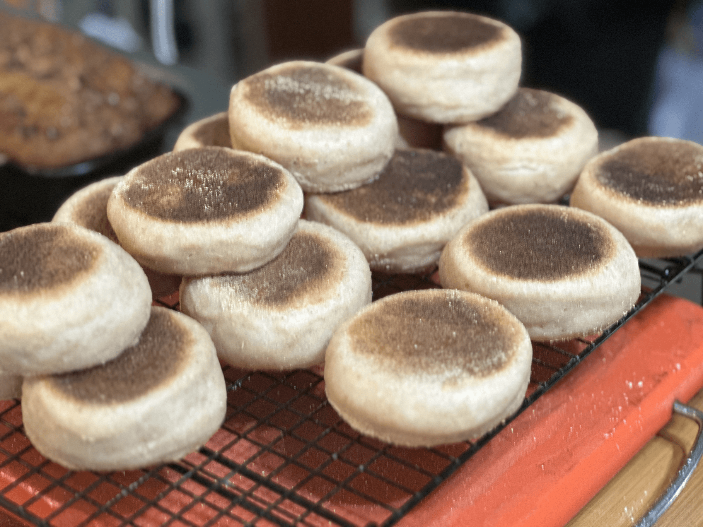 Bread Baby!'s image