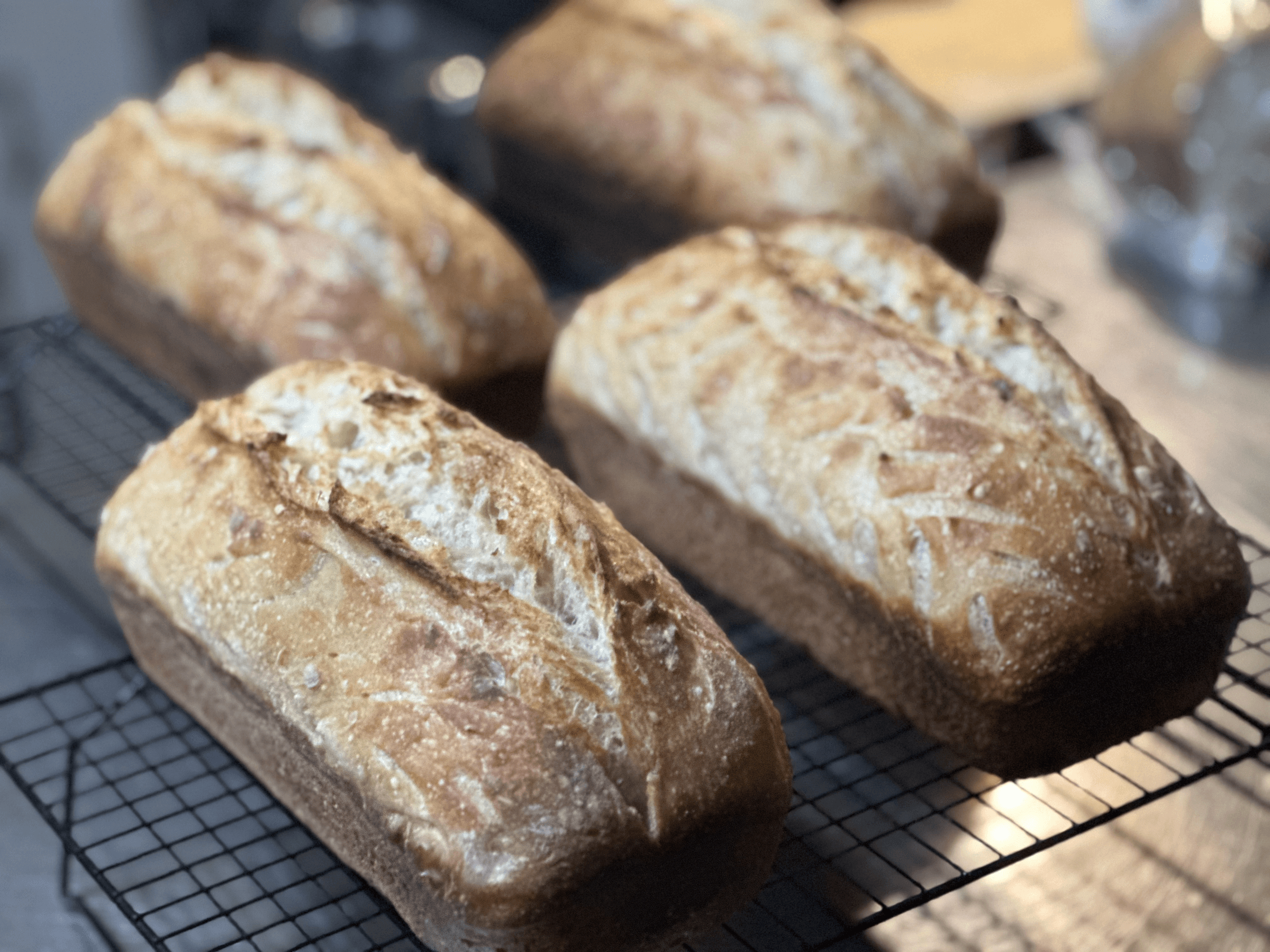 Bread Baby!'s image