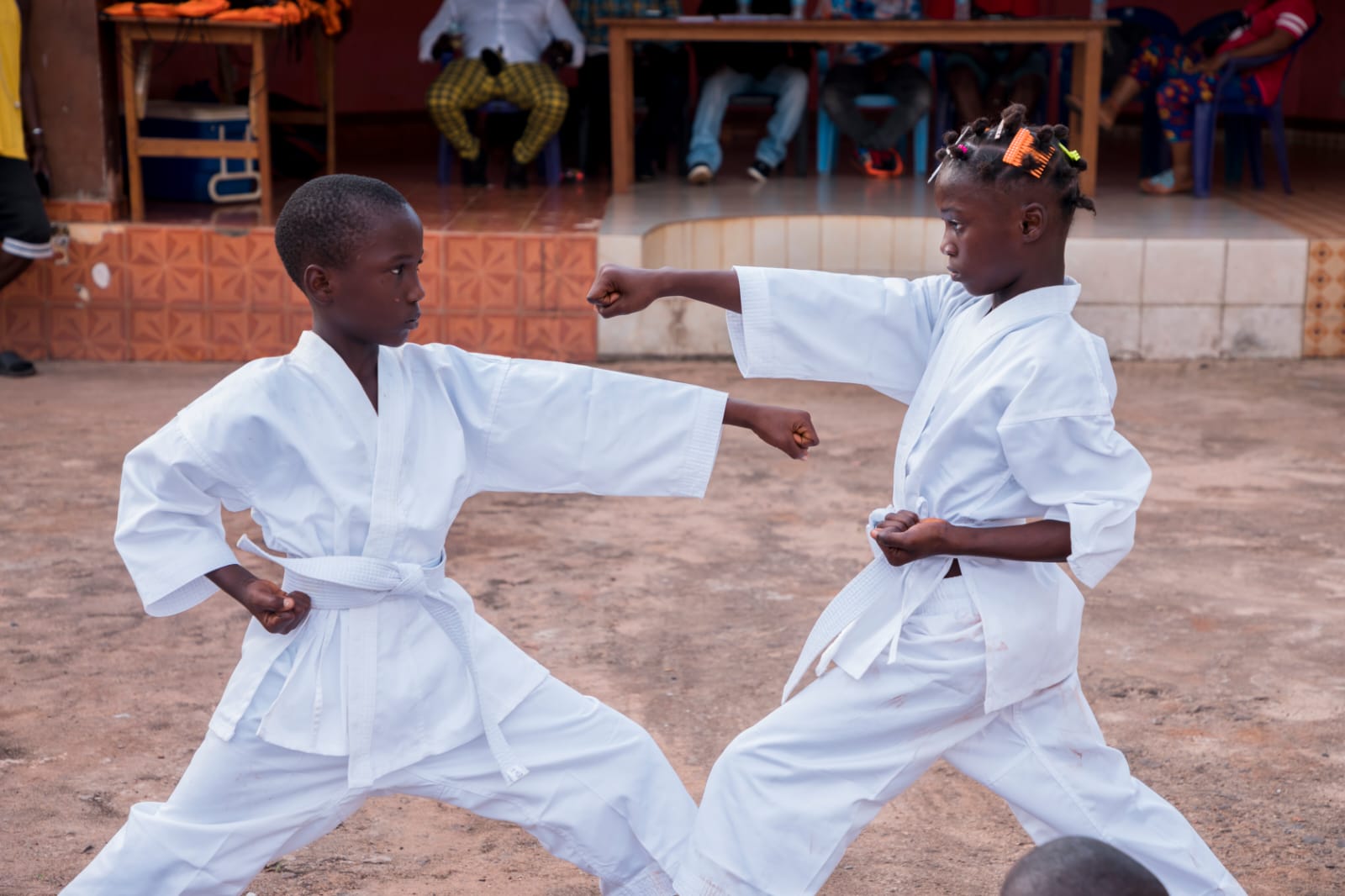 Sierra Leone Karate Union's image