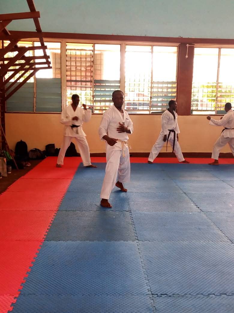 Sierra Leone Karate Union's image