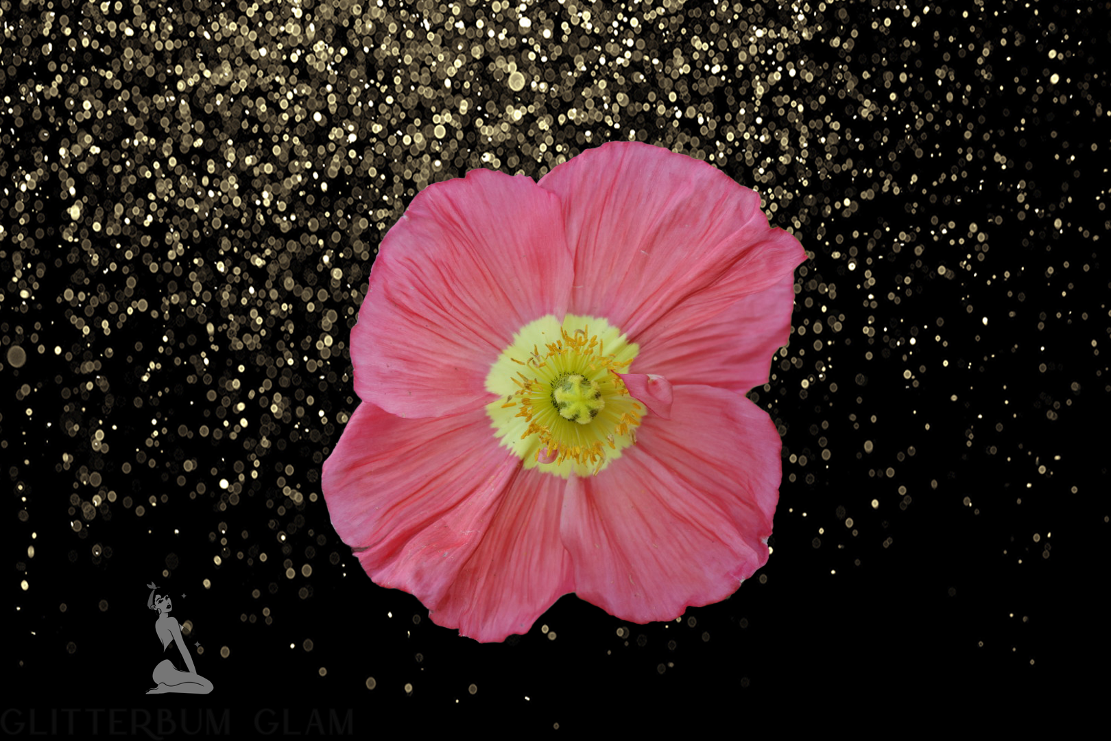 GlitterBum Glam: Northern Virginia's Pin-Up & Boudoir Studio's image
