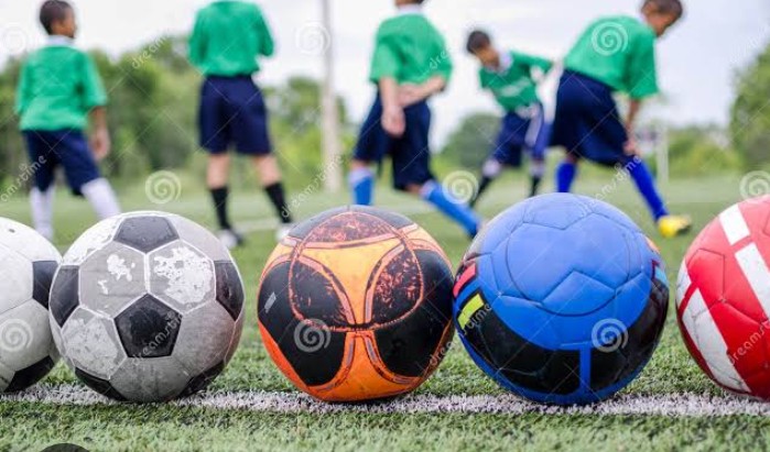 Next Level Football Academy NSW's image