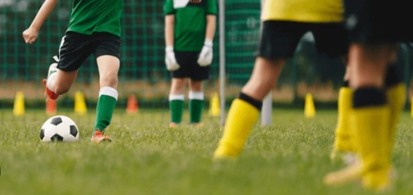 Next Level Football Academy NSW's image