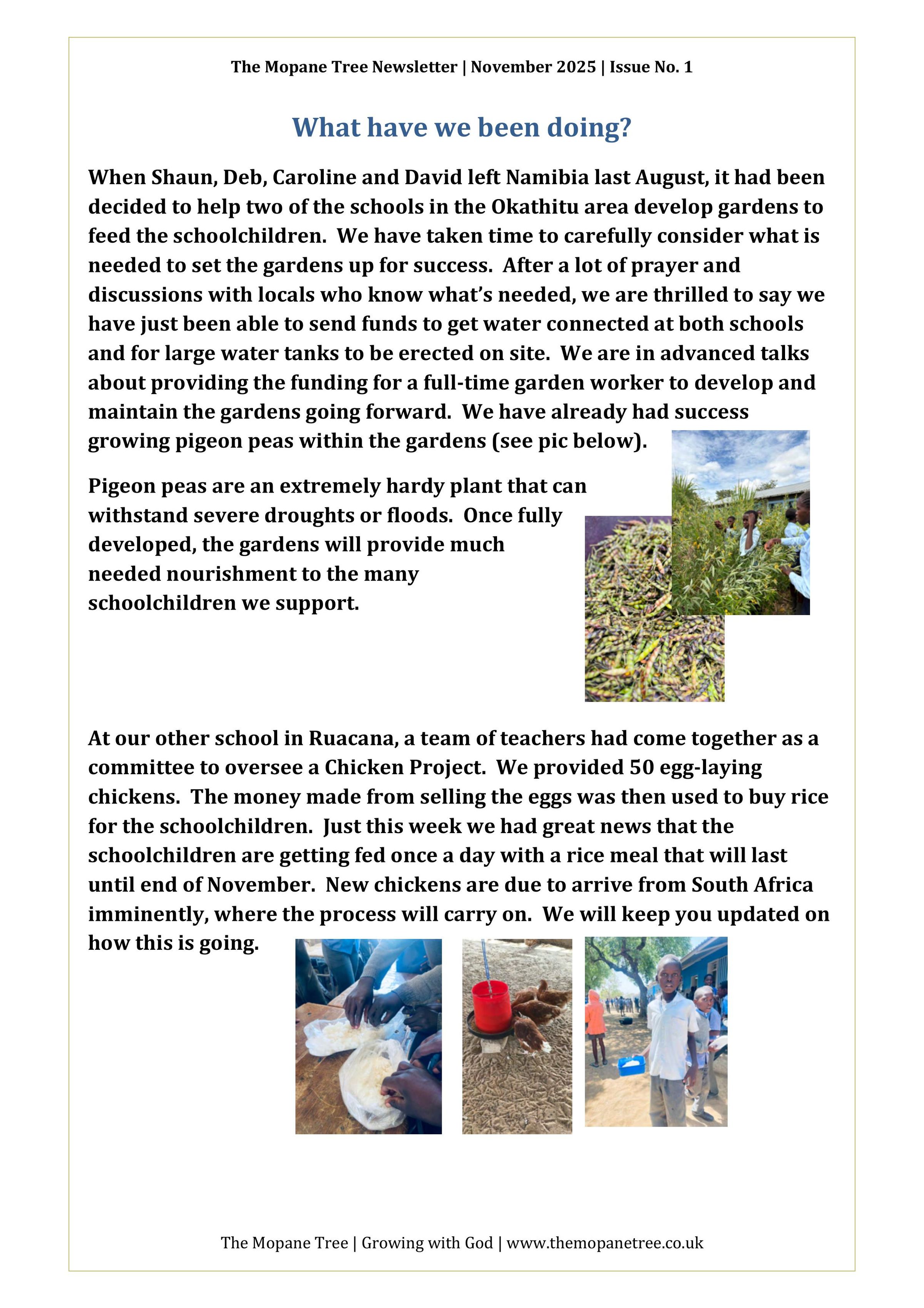 THE MOPANE TREE's image