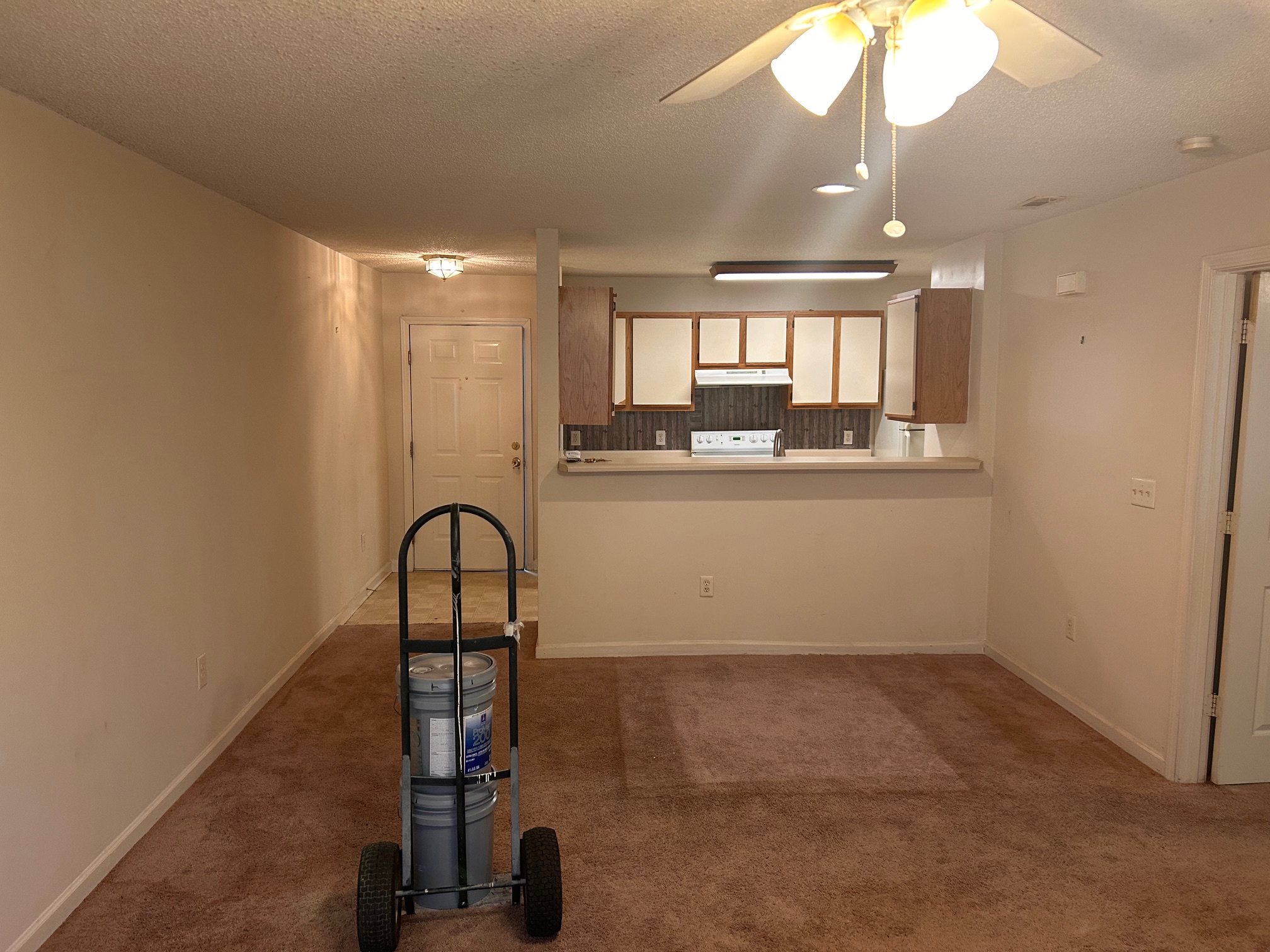 Lowcountry fix-it services, LLC's image