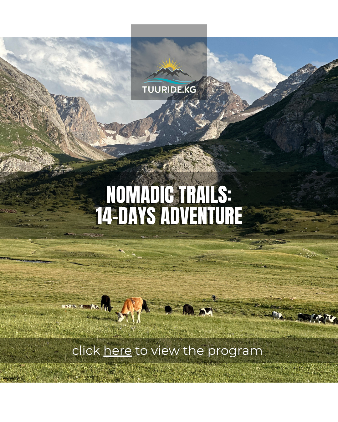 click here to view the tour's program