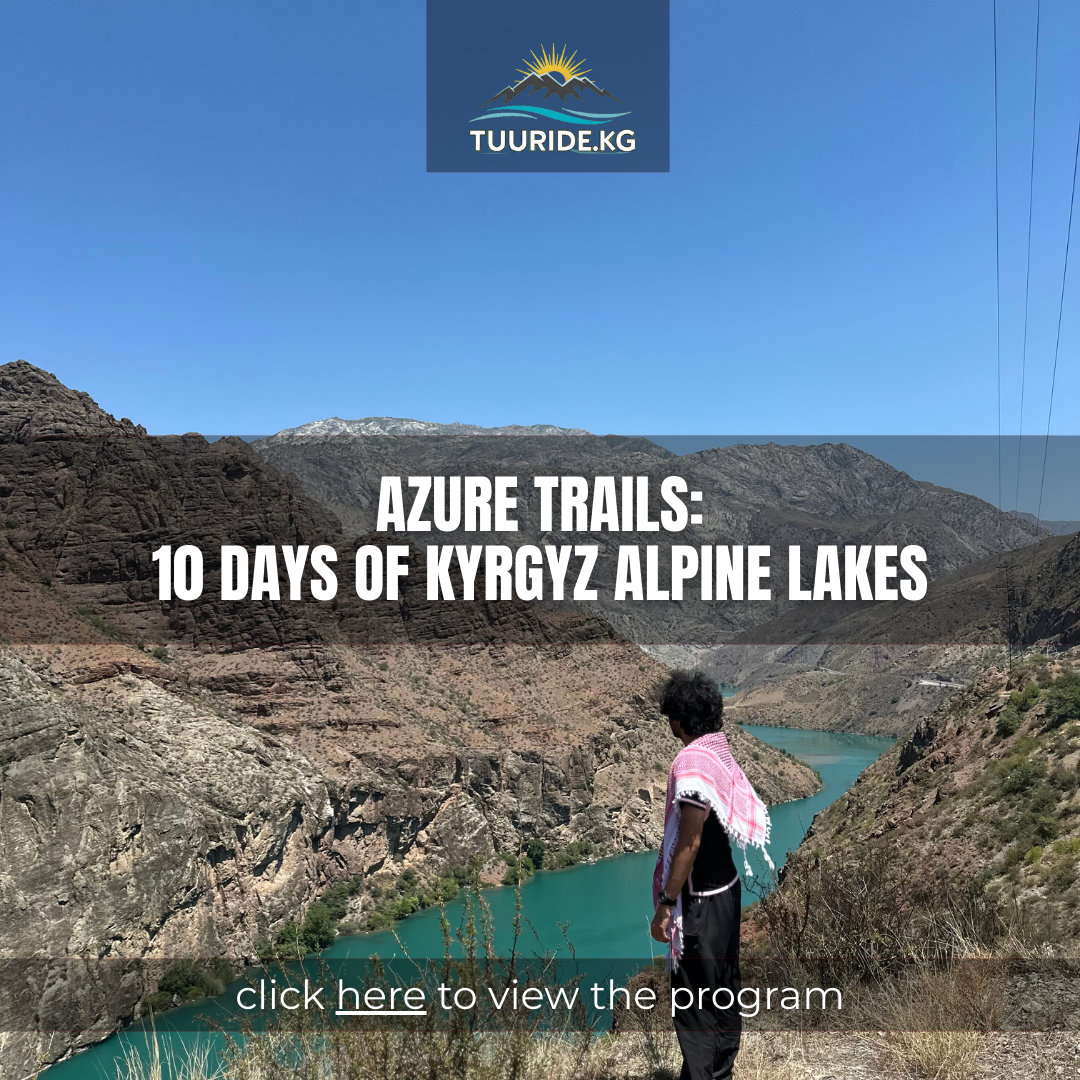 click here to view the tour's program