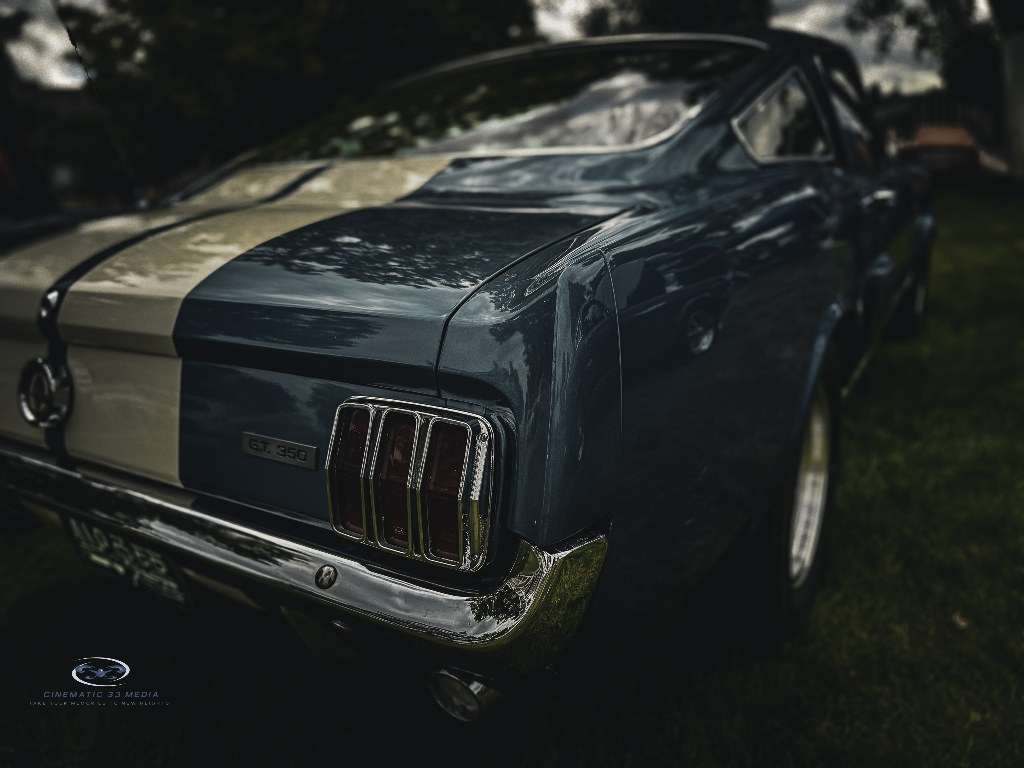 Cinematic 33 Media's image
