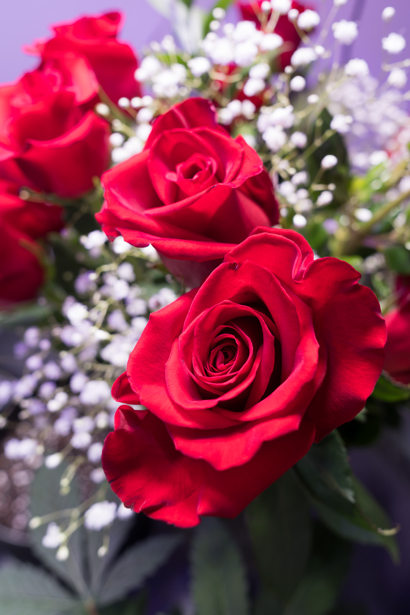 Cinematic 33 Media's image