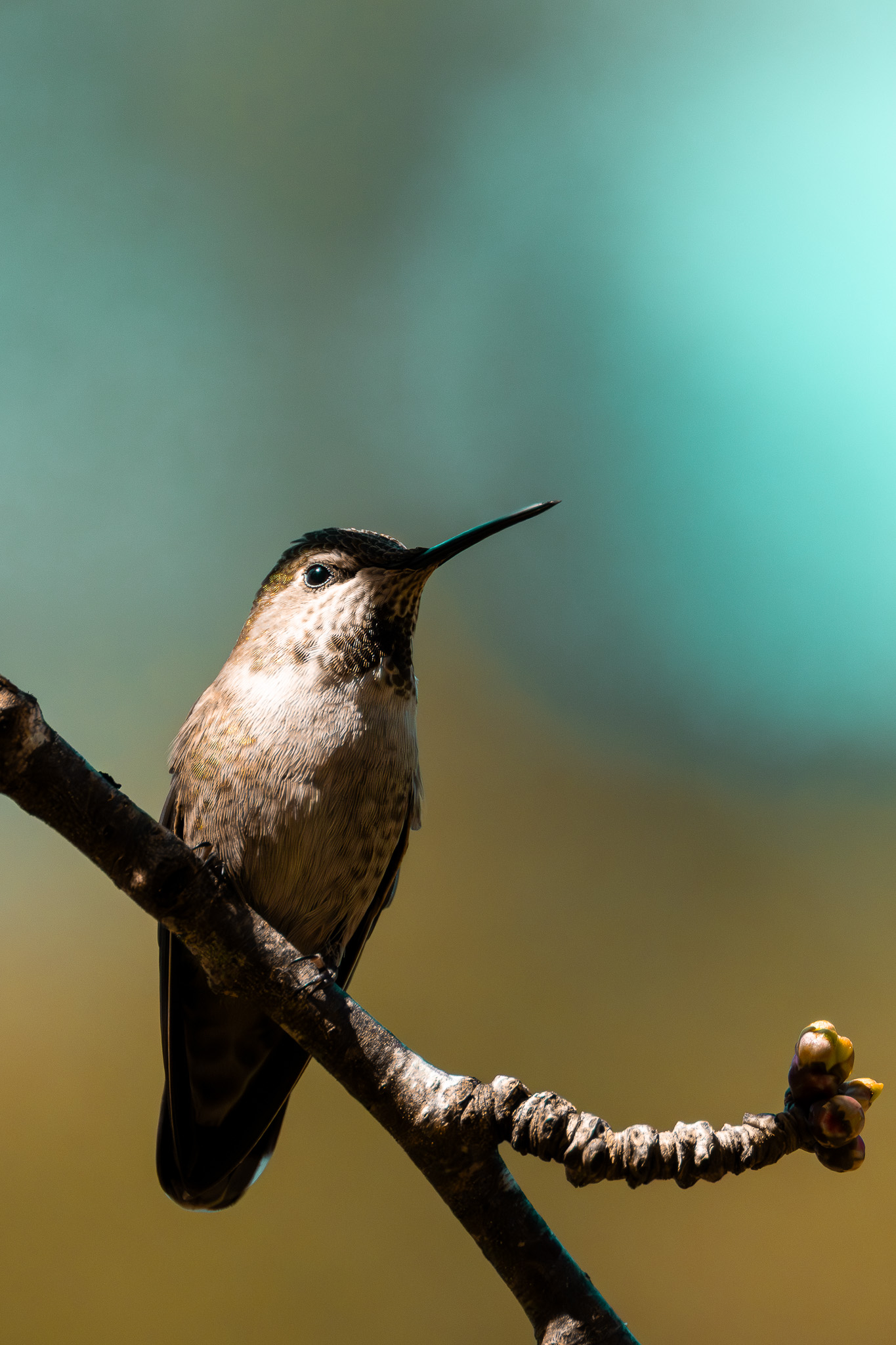 Cinematic 33 Media's image