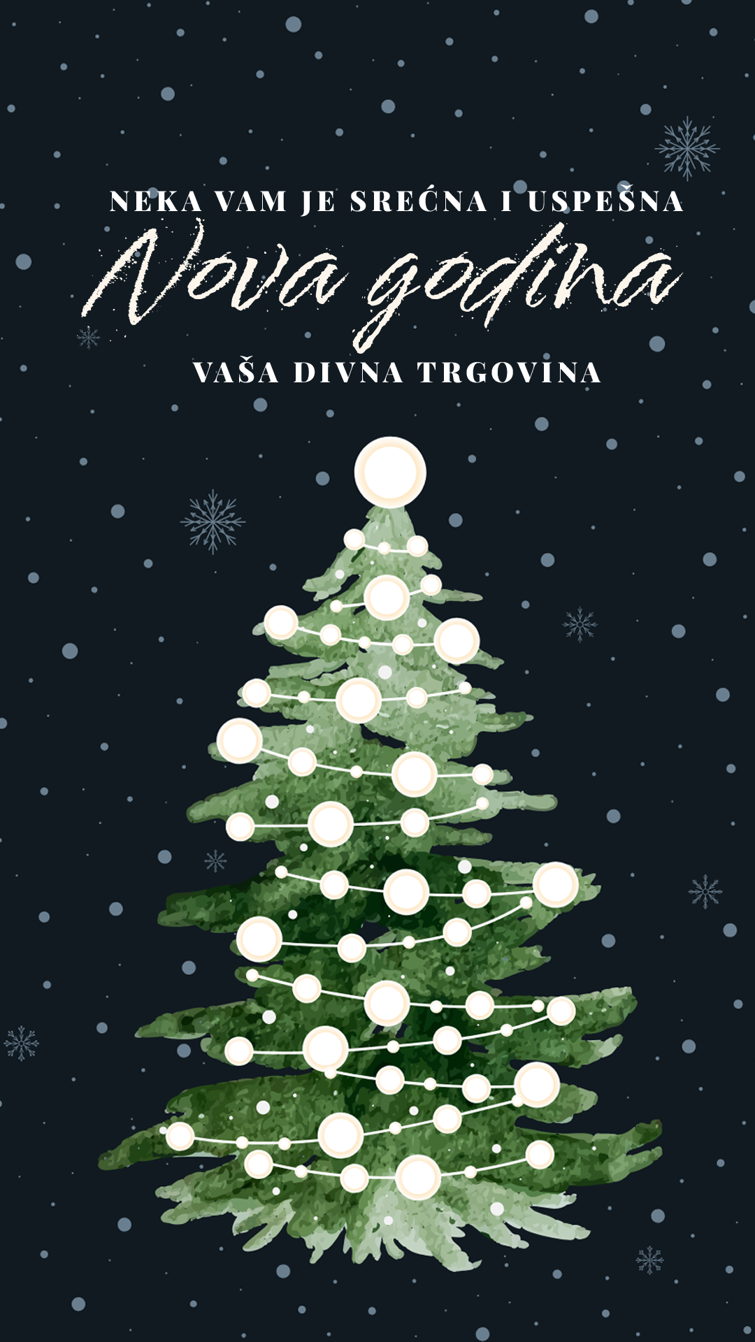 DIVNA TRGOVINA's image