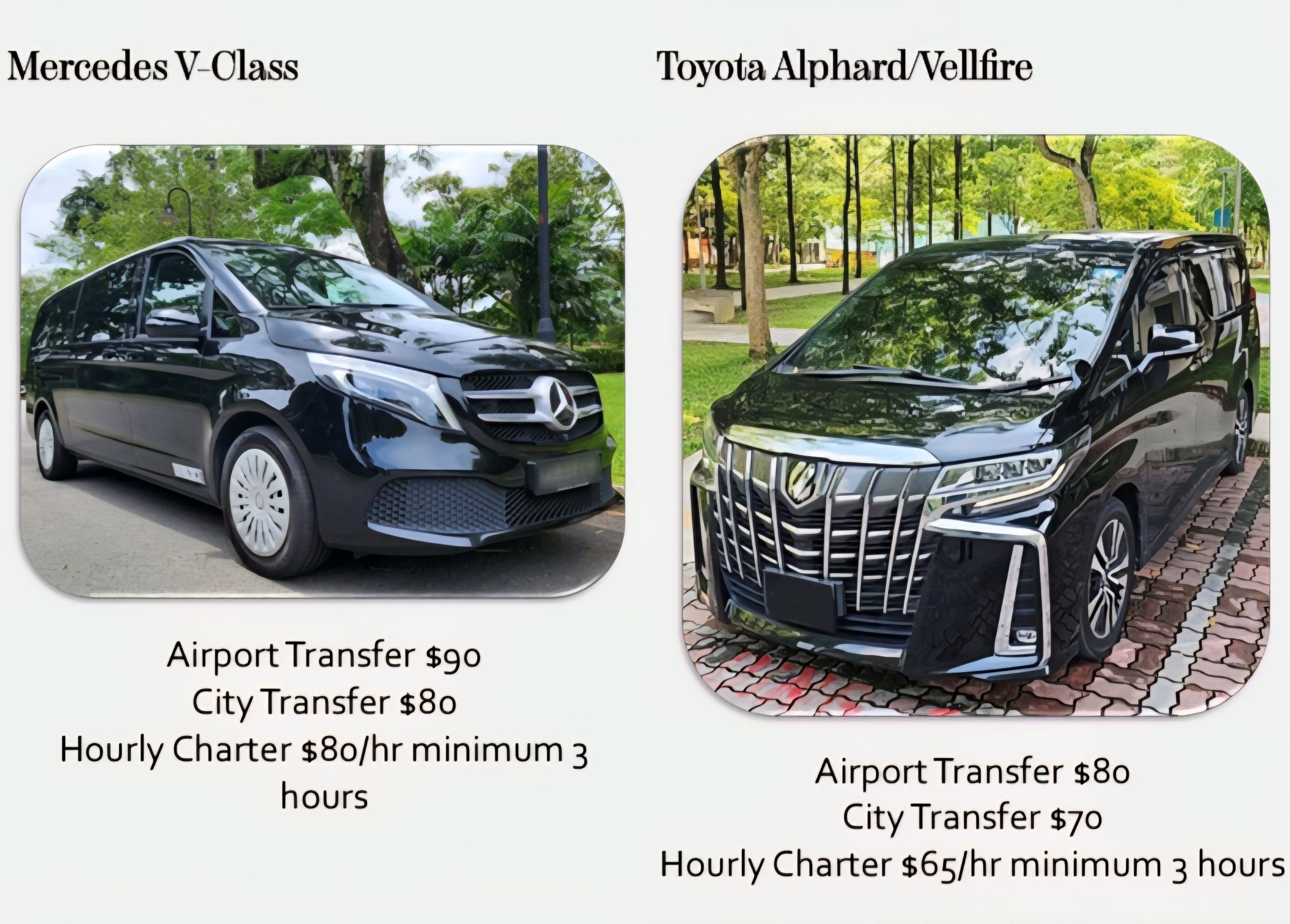 Aurelius Limousine's image