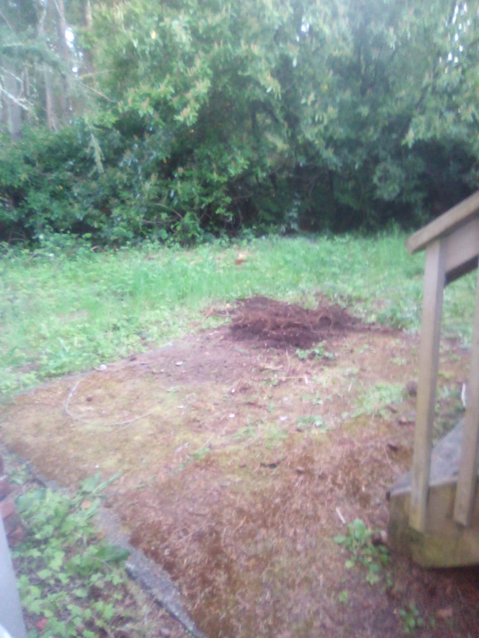 Completed D Yard