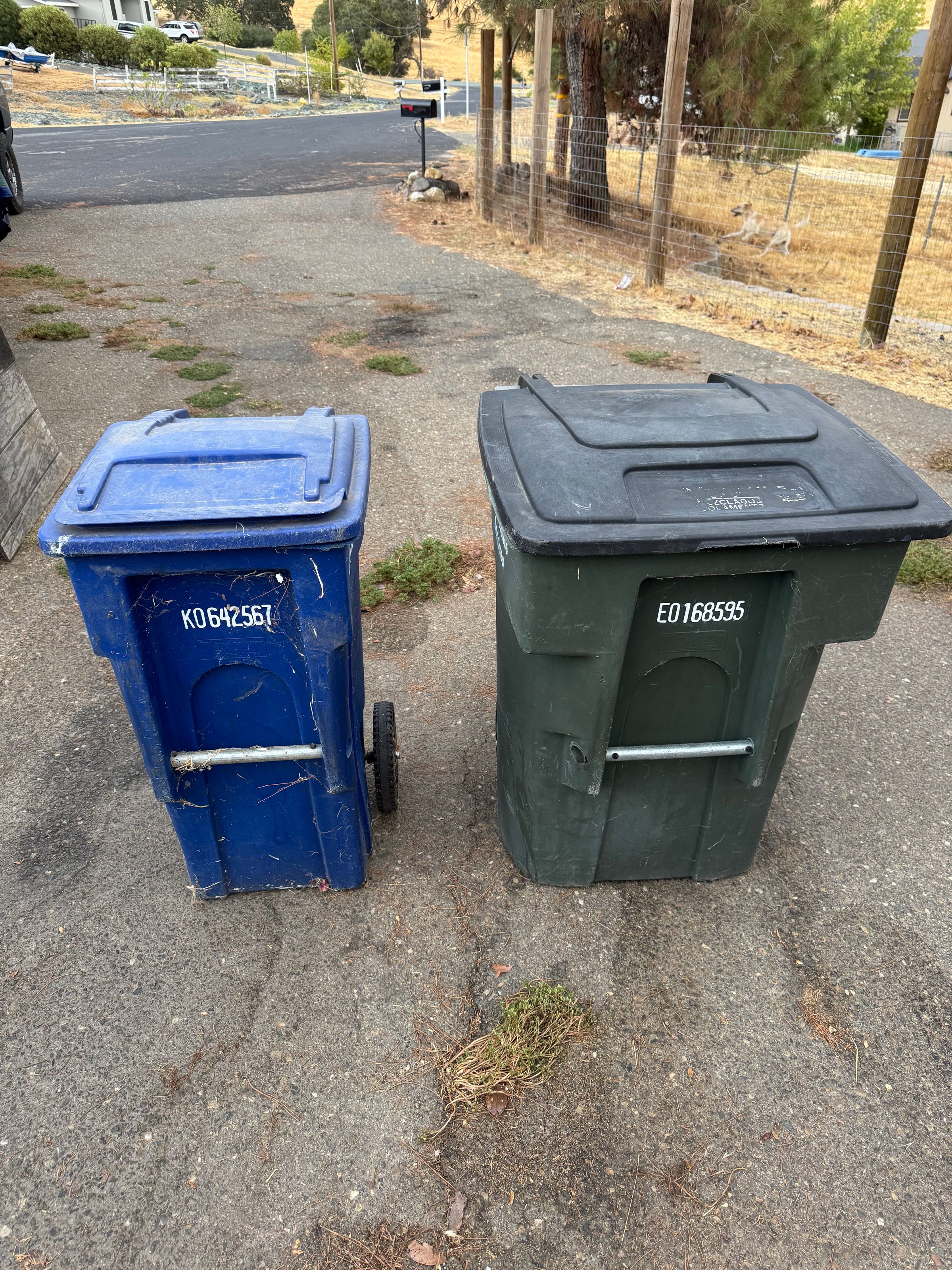 Magic Solutions's image