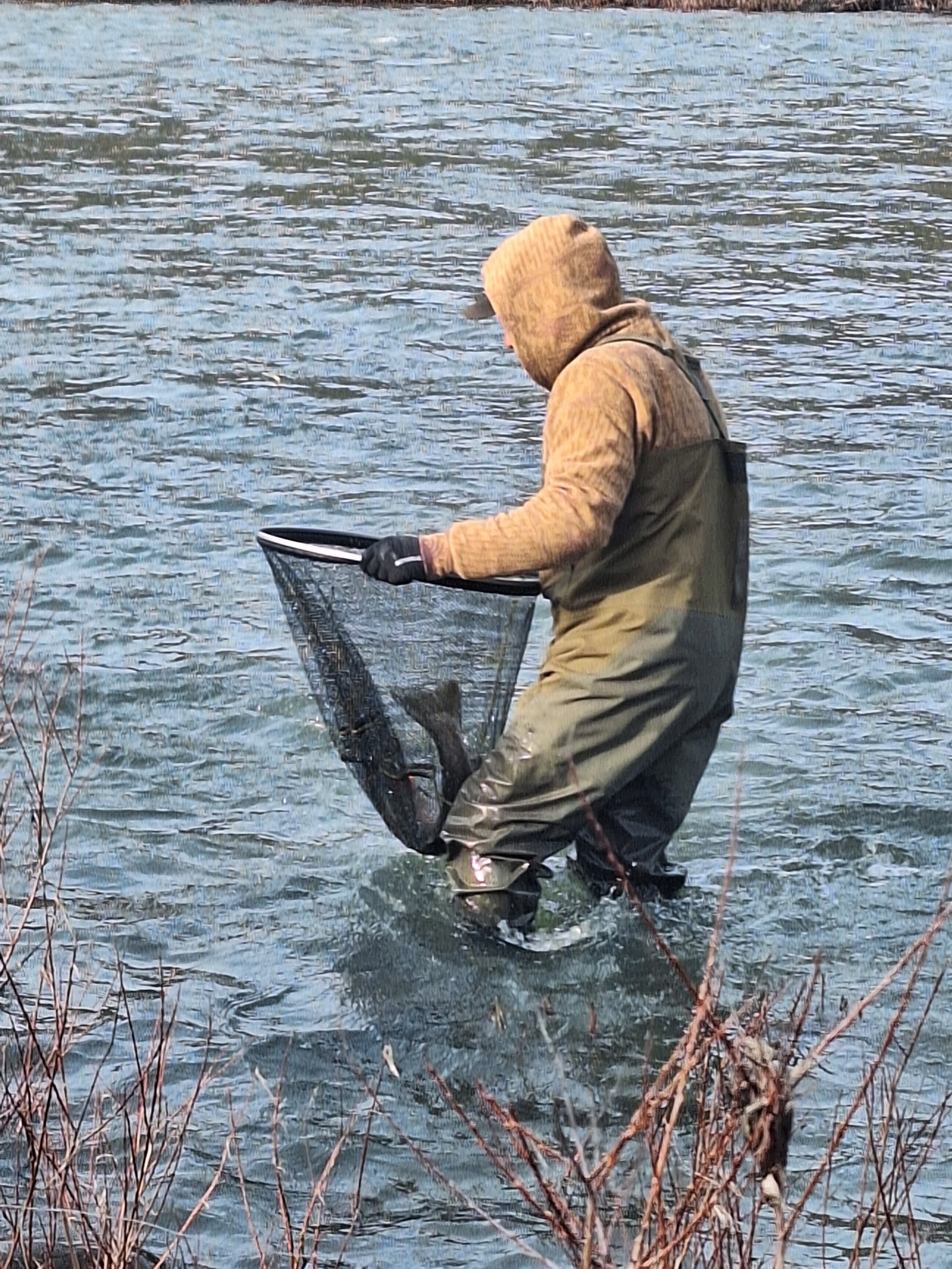 Steelhead Expeditions's image