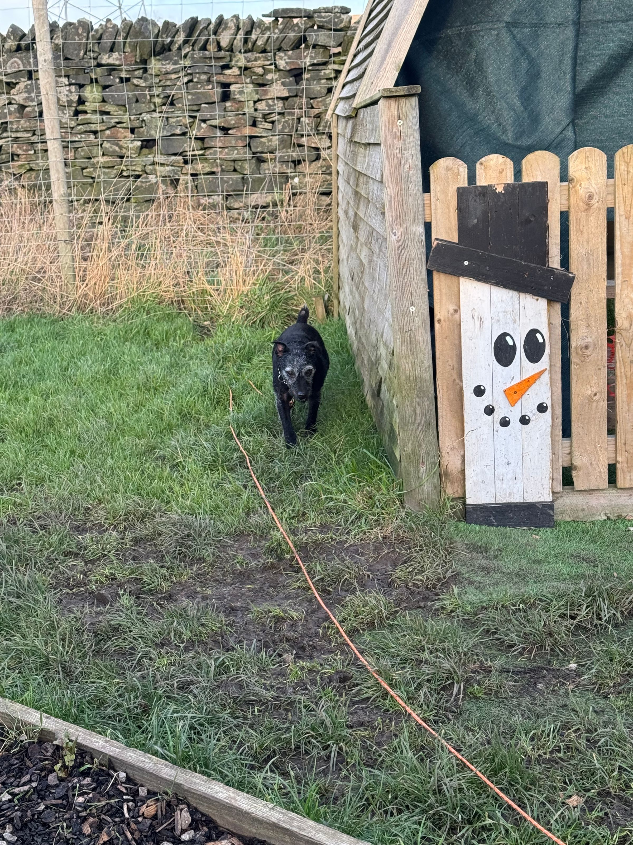 Fetch & Co | Personalised Pet Care Tailored to Every Paw's image