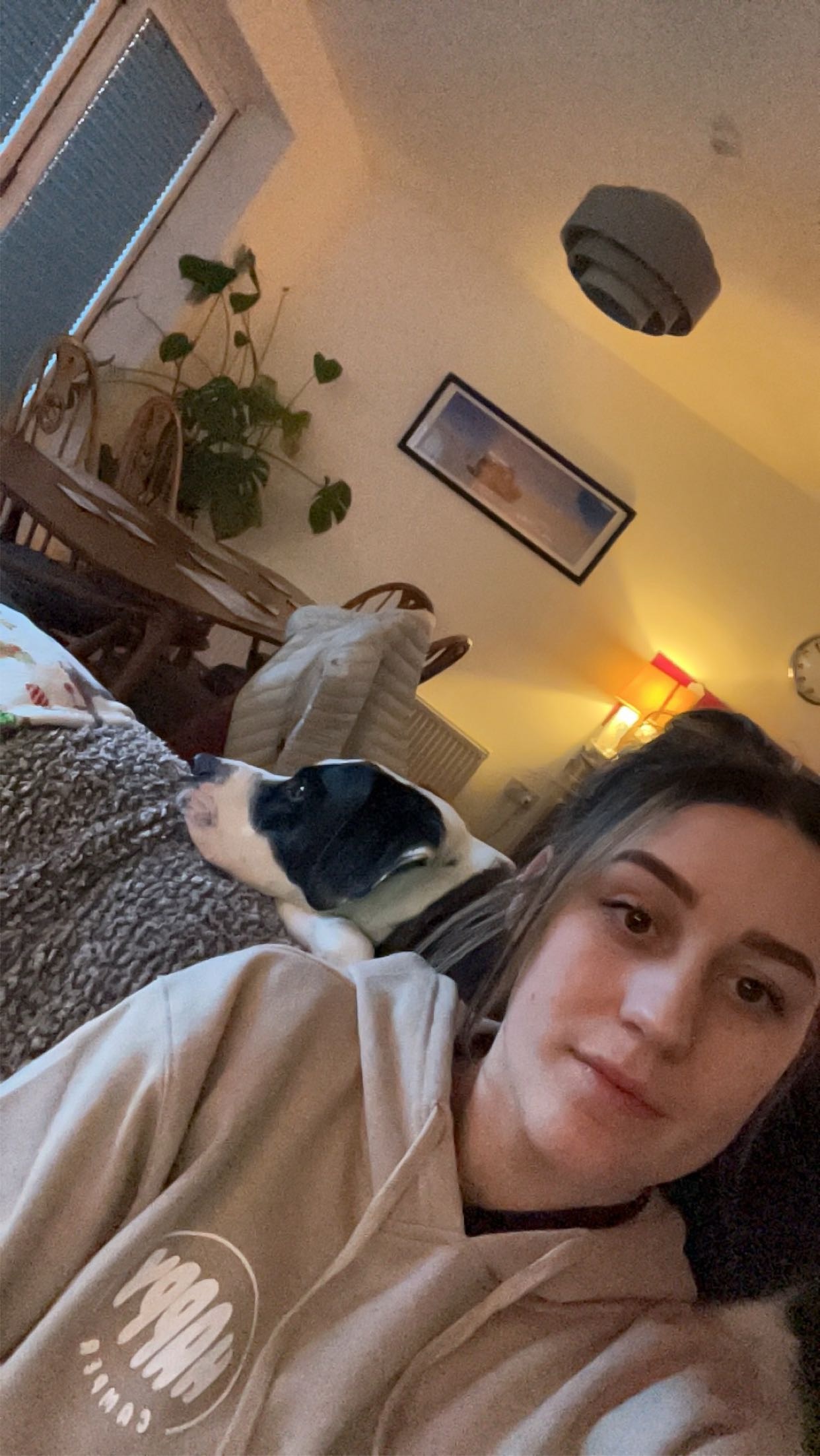 Fetch & Co | Personalised Pet Care Tailored to Every Paw's image