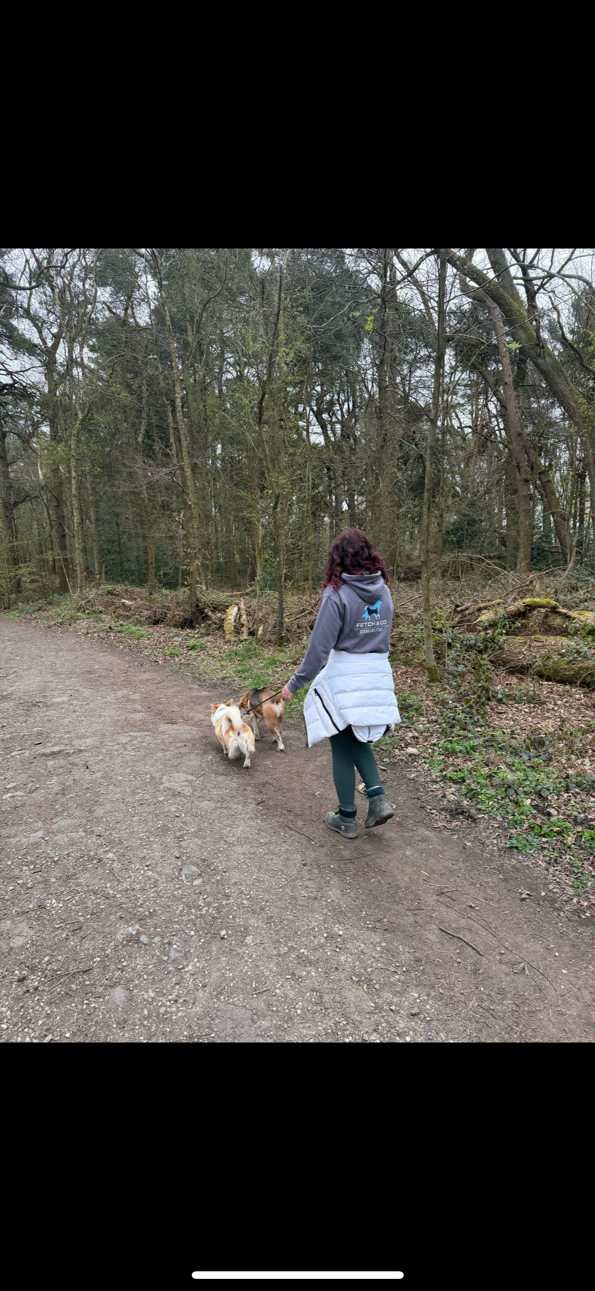 Fetch & Co | Personalised Pet Care Tailored to Every Paw's image