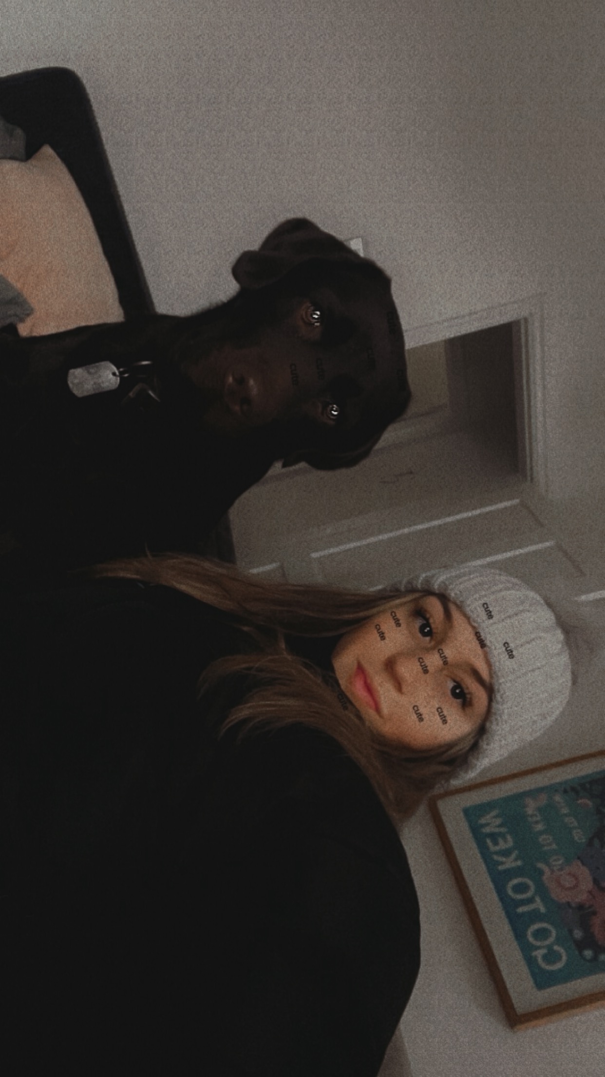 Fetch & Co | Personalised Pet Care Tailored to Every Paw's image