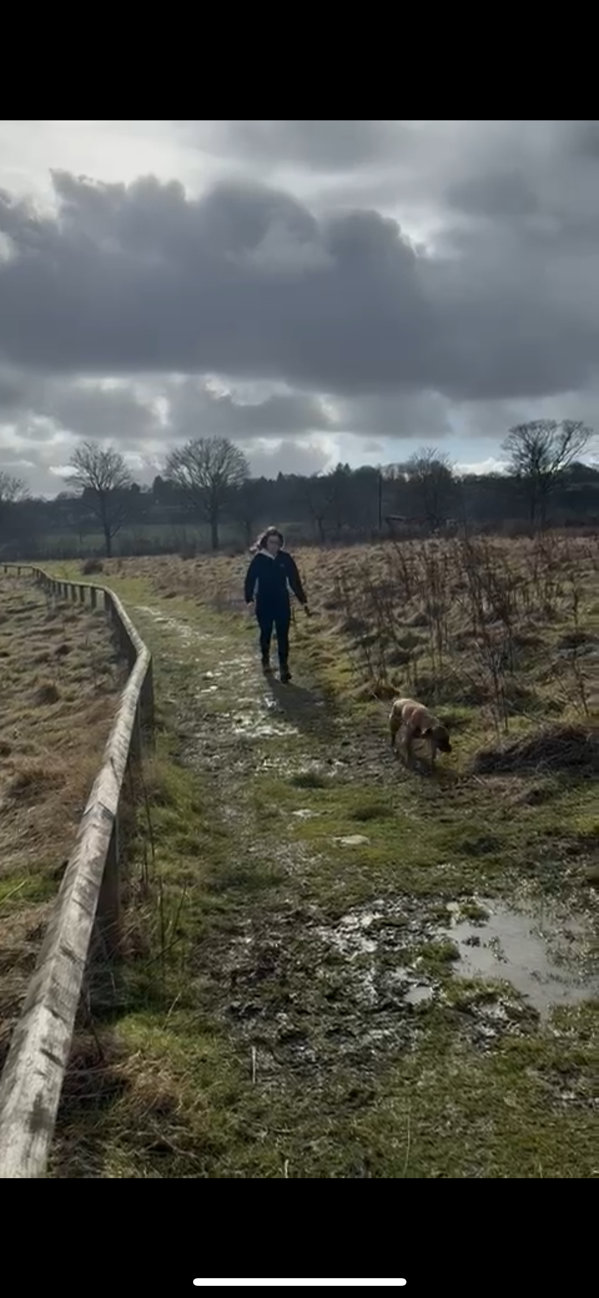 Fetch & Co | Personalised Pet Care Tailored to Every Paw's image