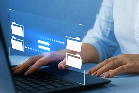 Scriptum Peritos Calígrafos's image