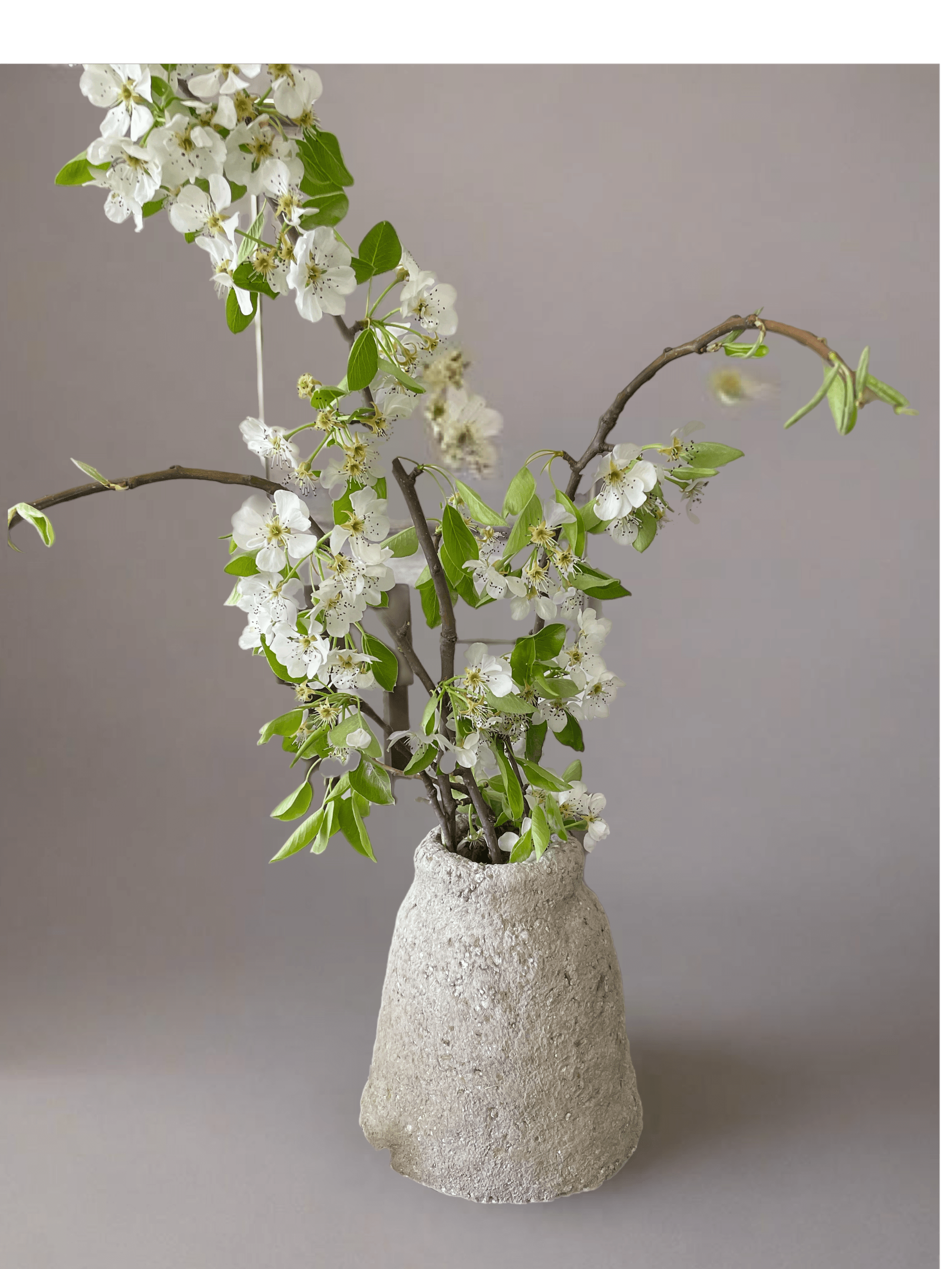 White Monkey Designs 's image