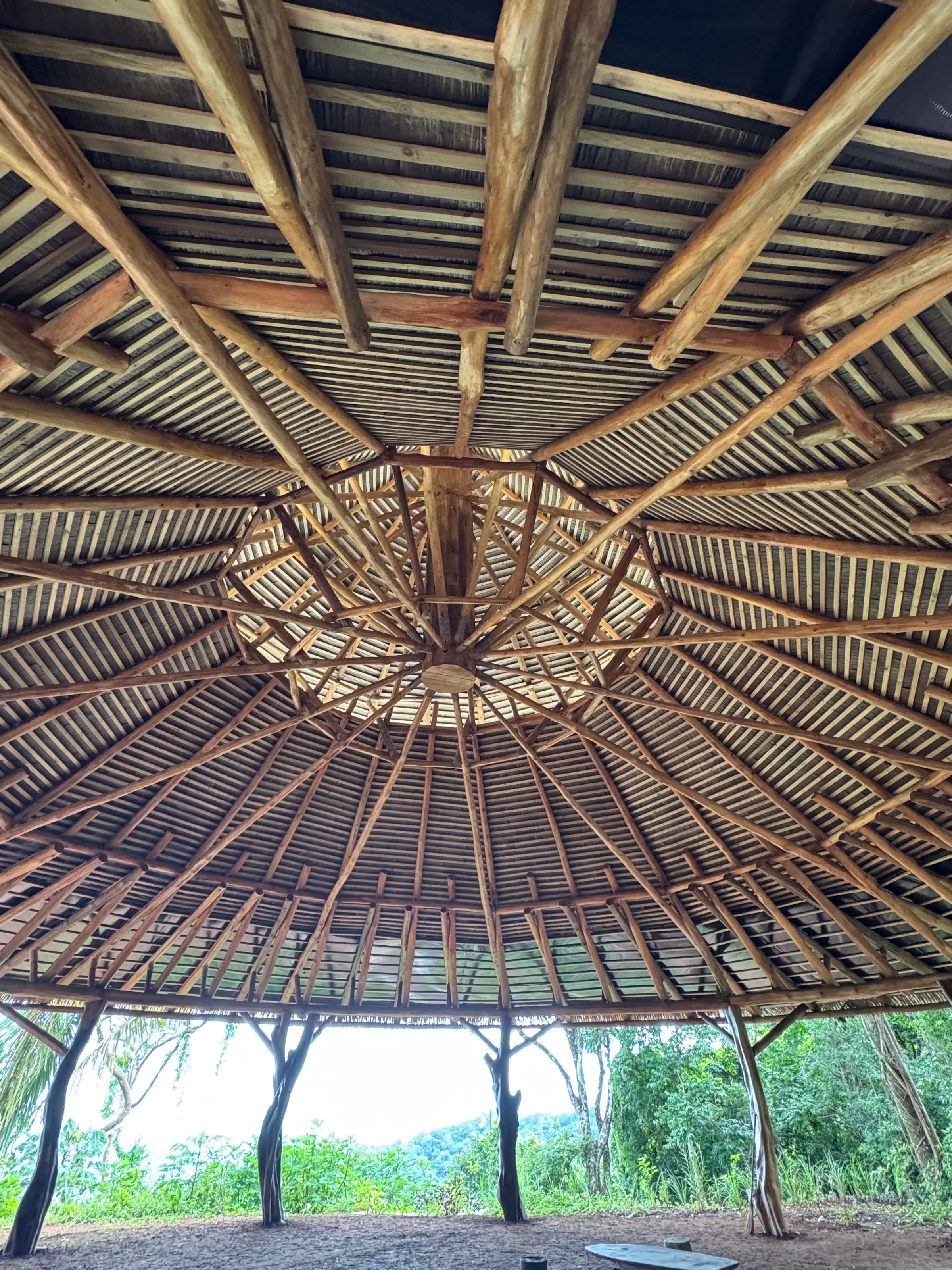 Gecko Architecture Tropical Modern Architecture's image