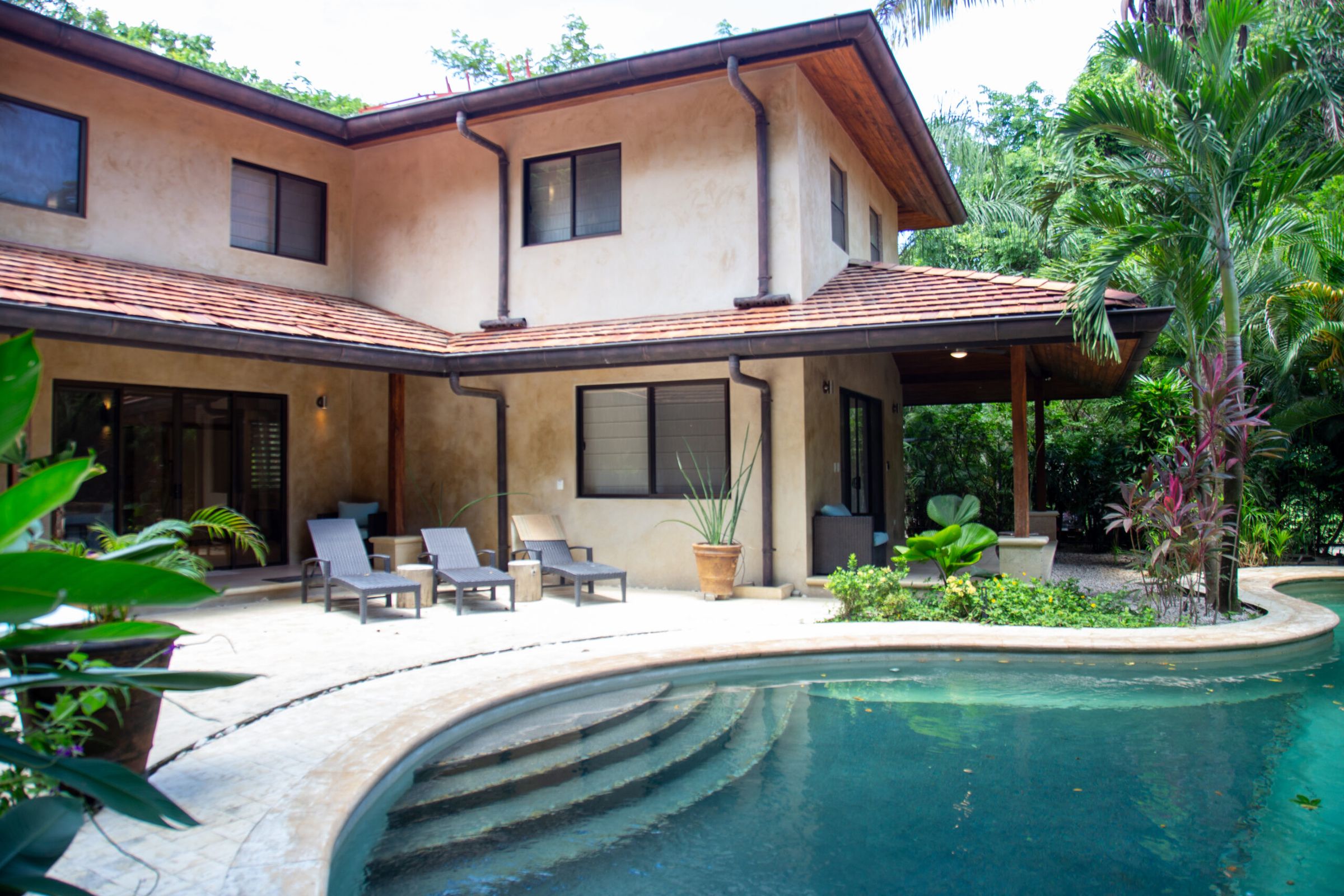 Gecko Architecture Tropical Modern Architecture's image