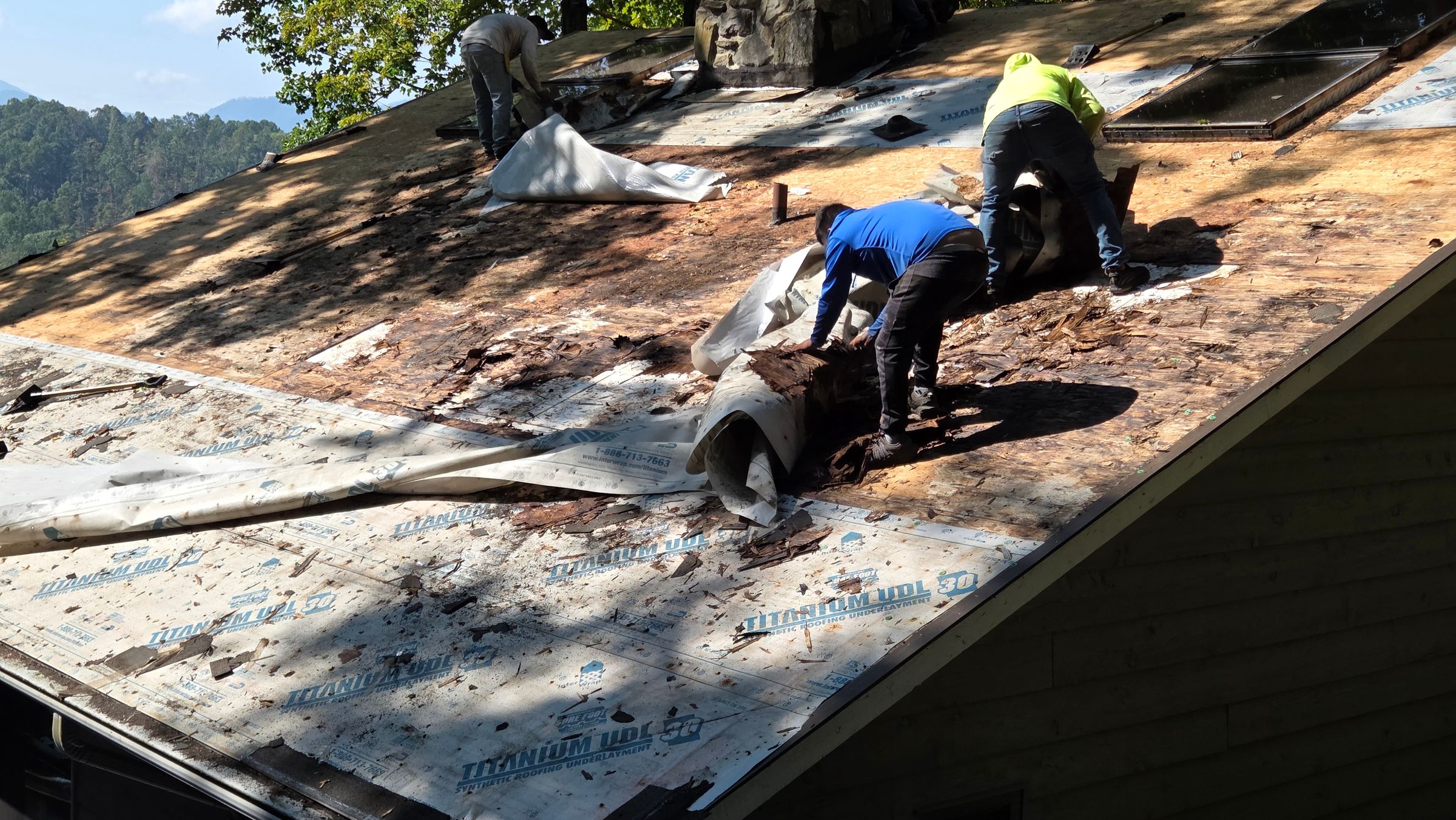 Rotten Wood Found and Removed