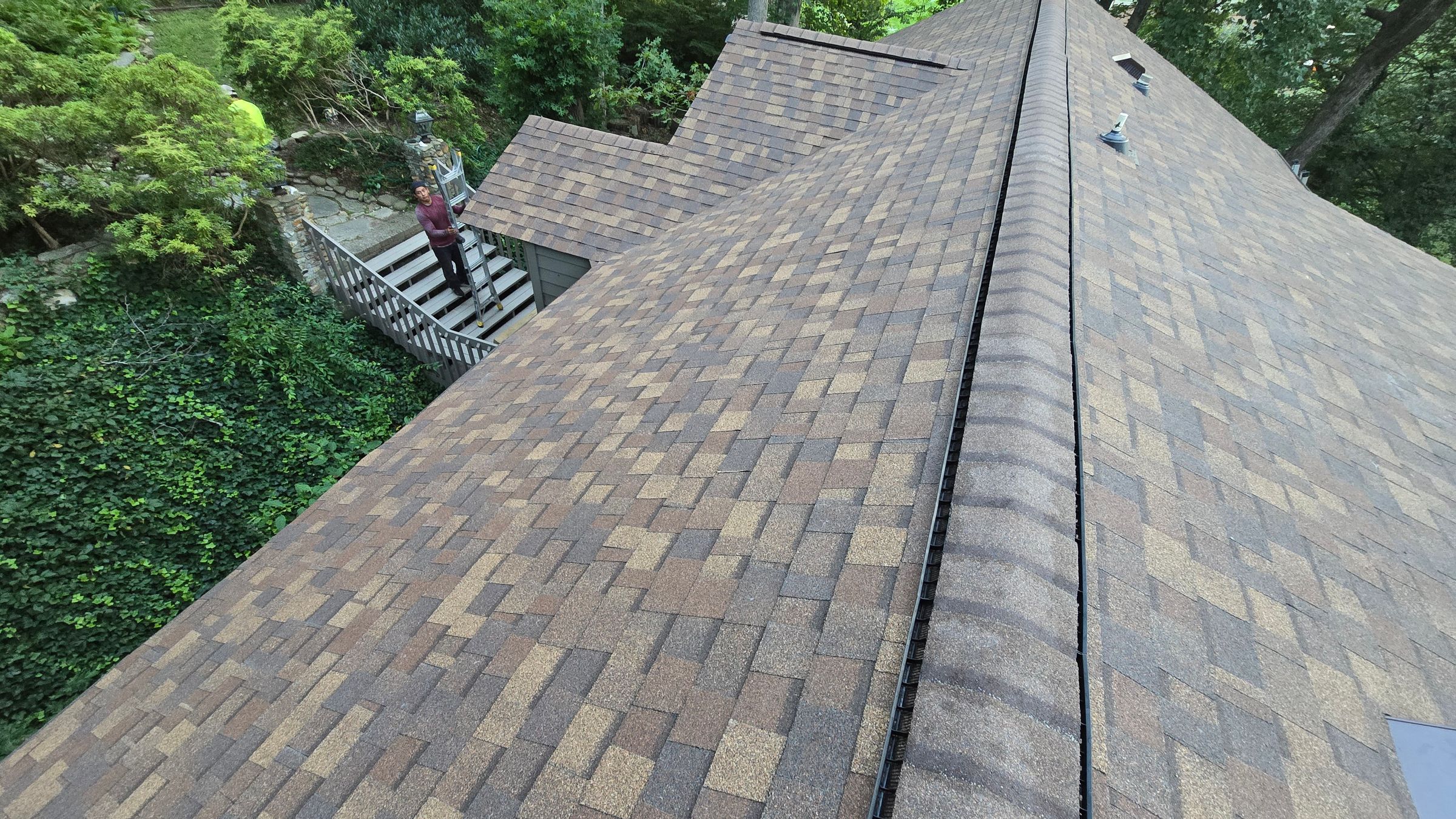 Roof Overview