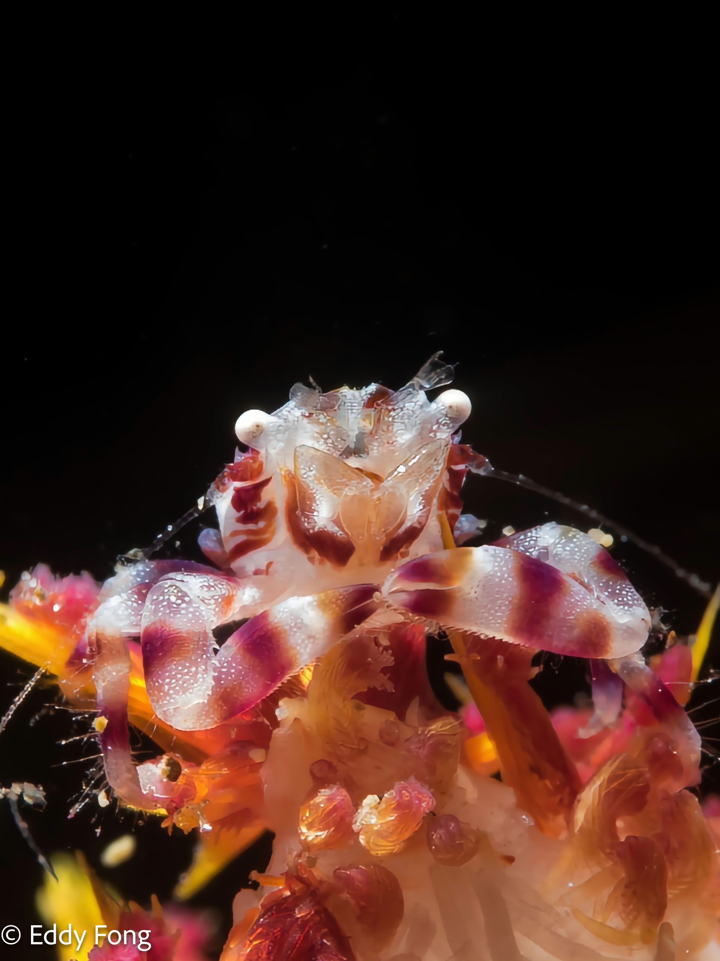 Casa Lens Media's image