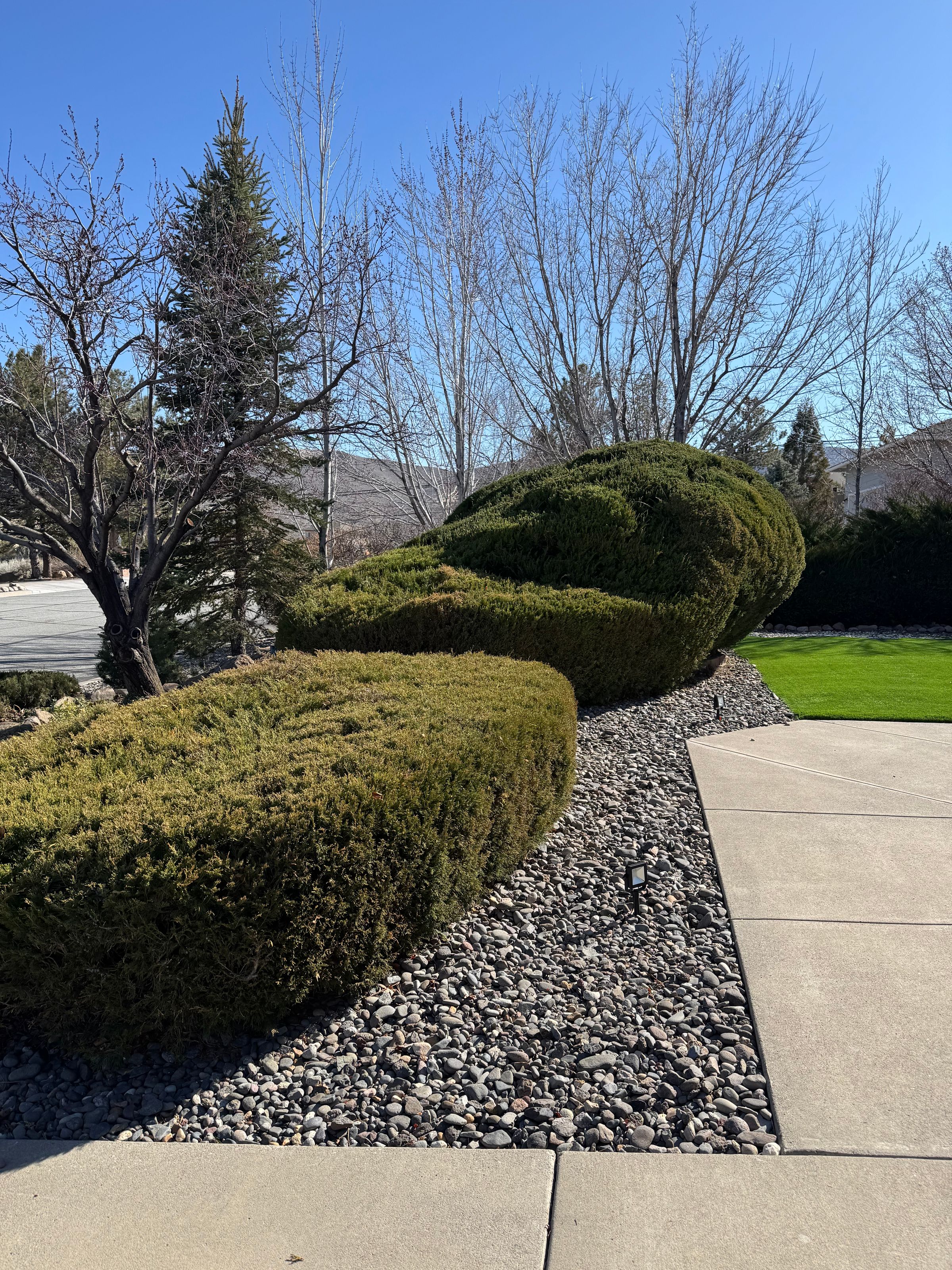 Lawn Care & Landscaping Reno's image