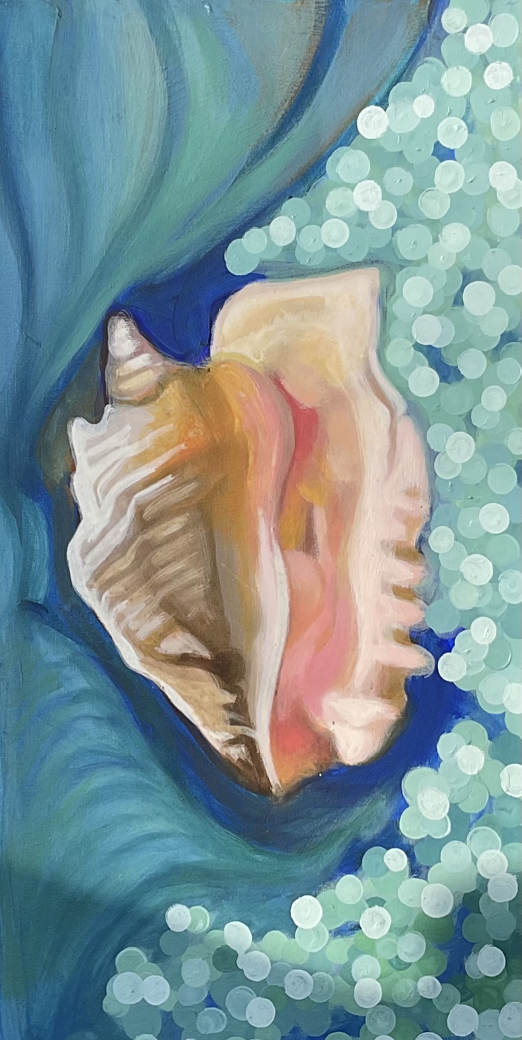 Seashell 1