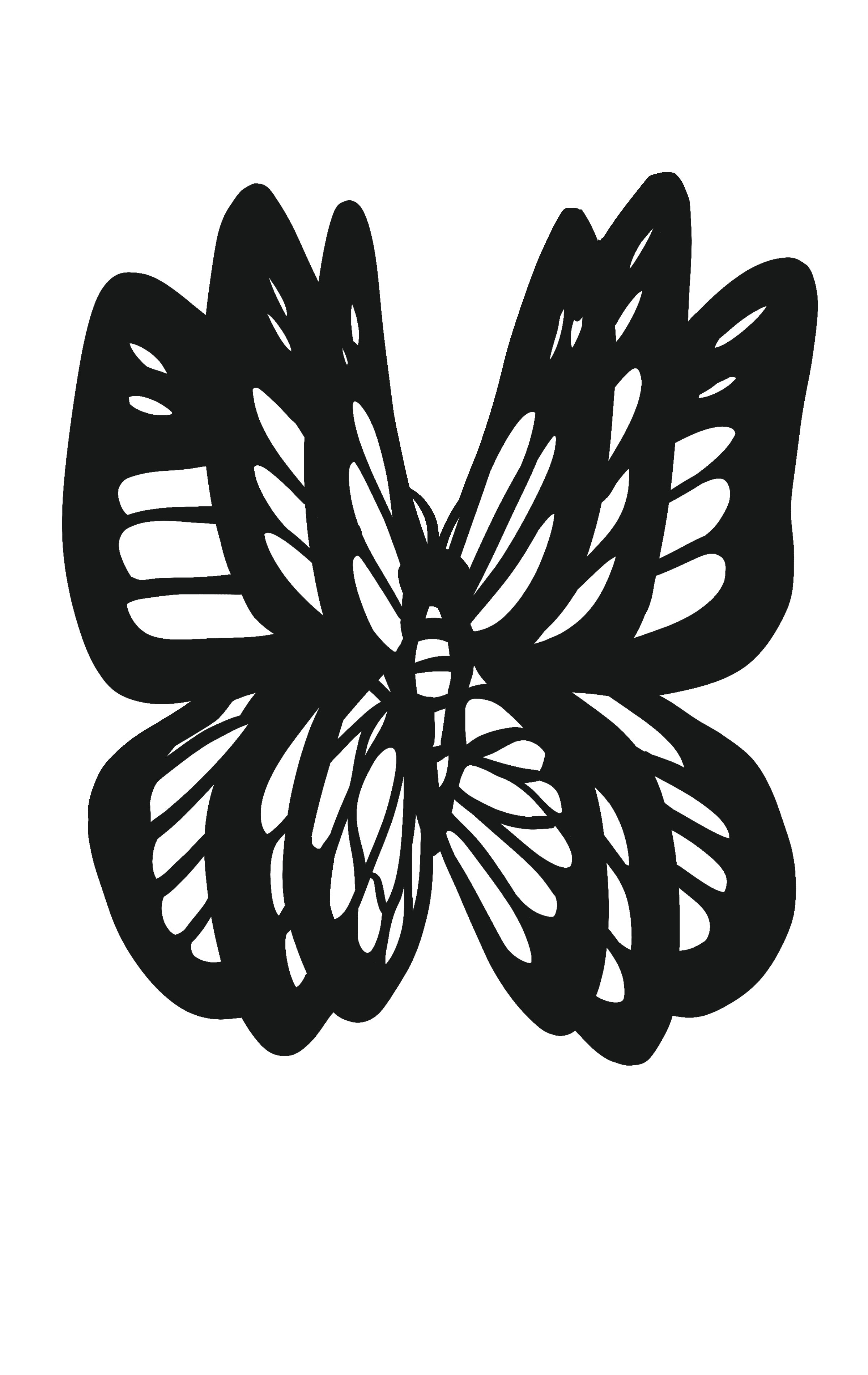 Blaire Butterfly design 