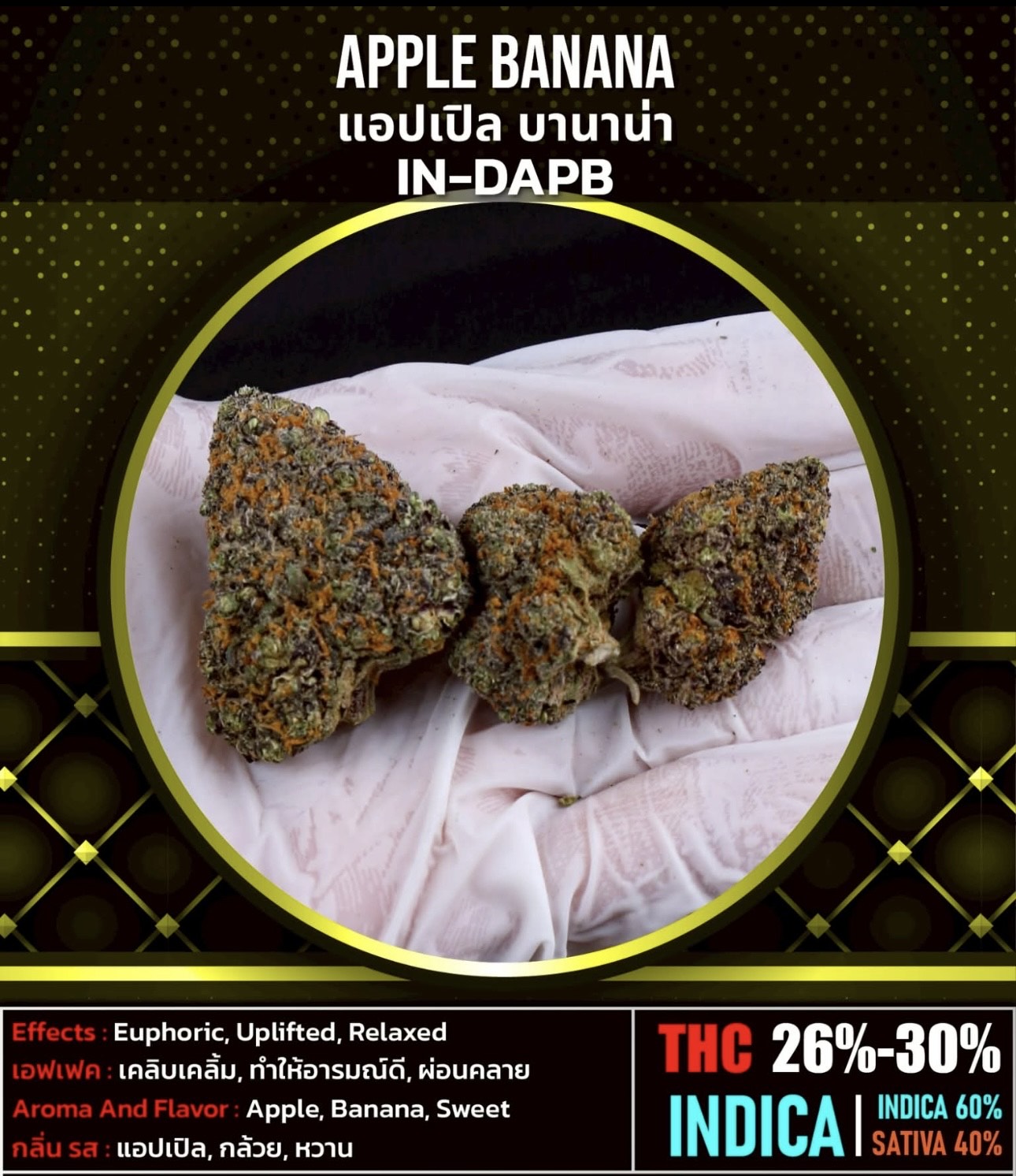 Thailand Exotics's image