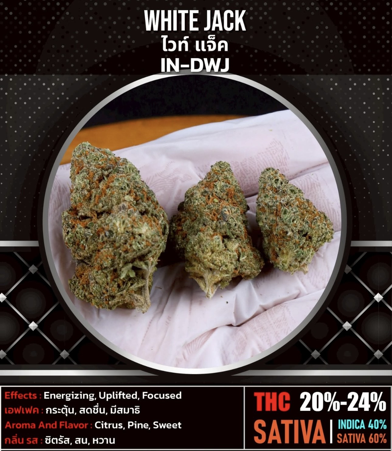 Thailand Exotics's image