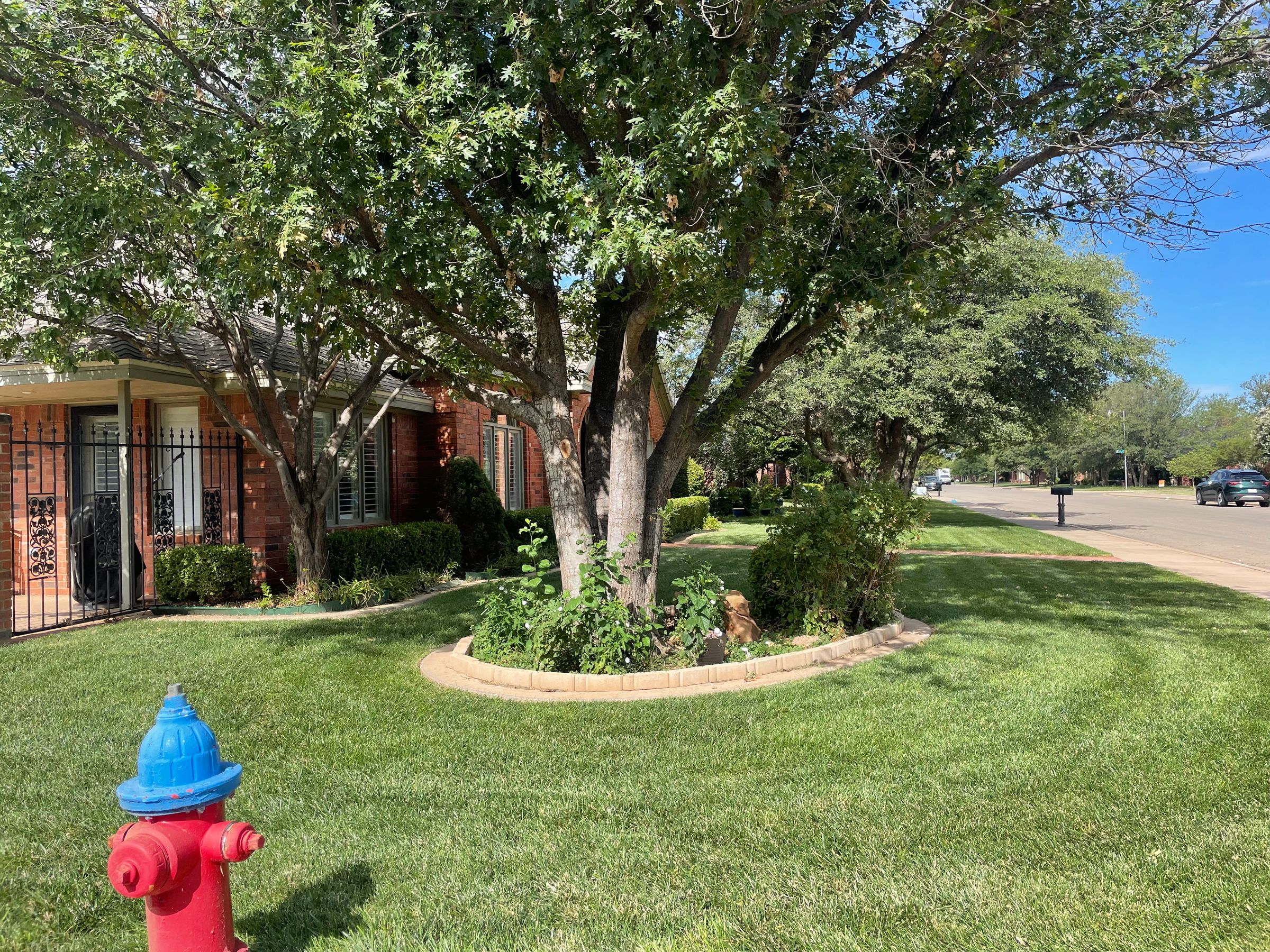 Uncle B's Lawn Care's image