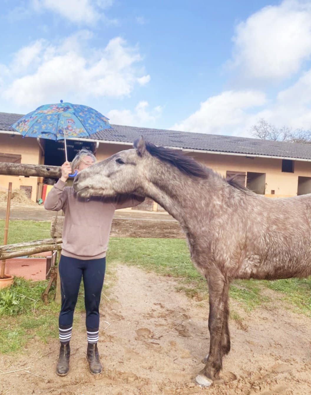 Ty Kalonn Equithérapie's image