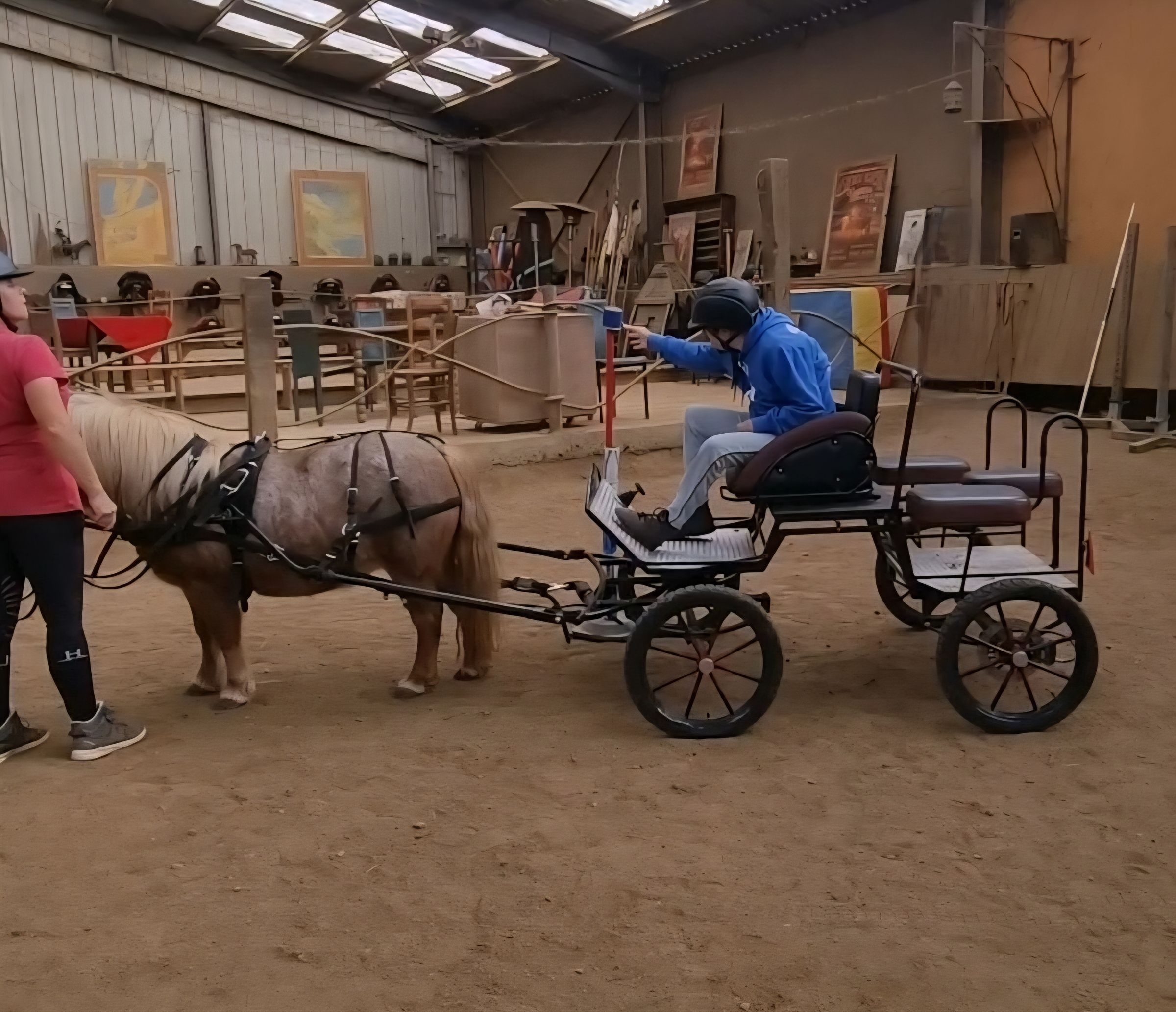 Ty Kalonn Equithérapie's image