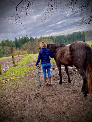 Ty Kalonn Equithérapie's image